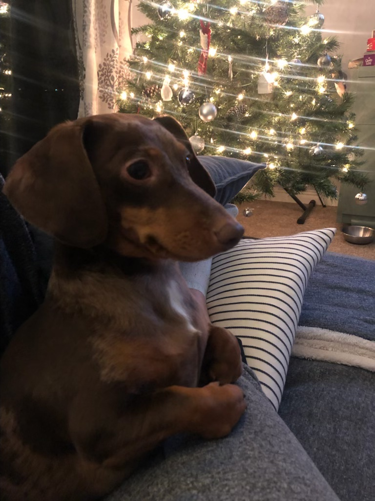 user avatar image for Brennan LeJean