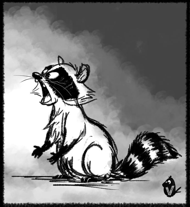 user avatar image for Miguel