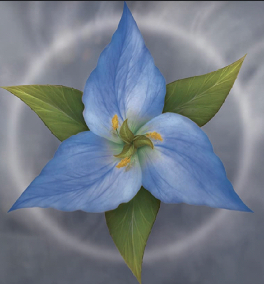 user avatar image for Aiven O'Leary