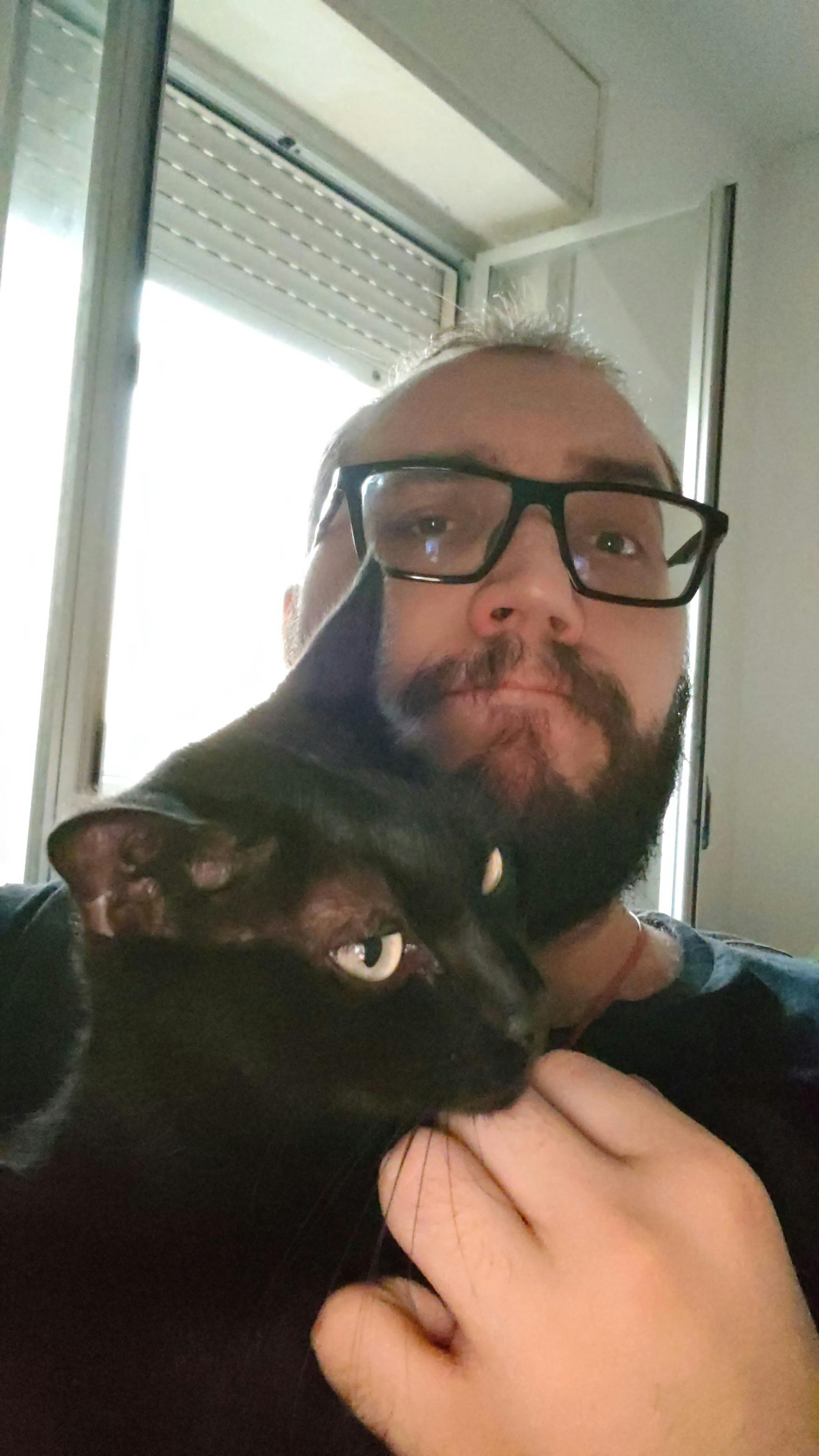 user avatar image for WarriorDan
