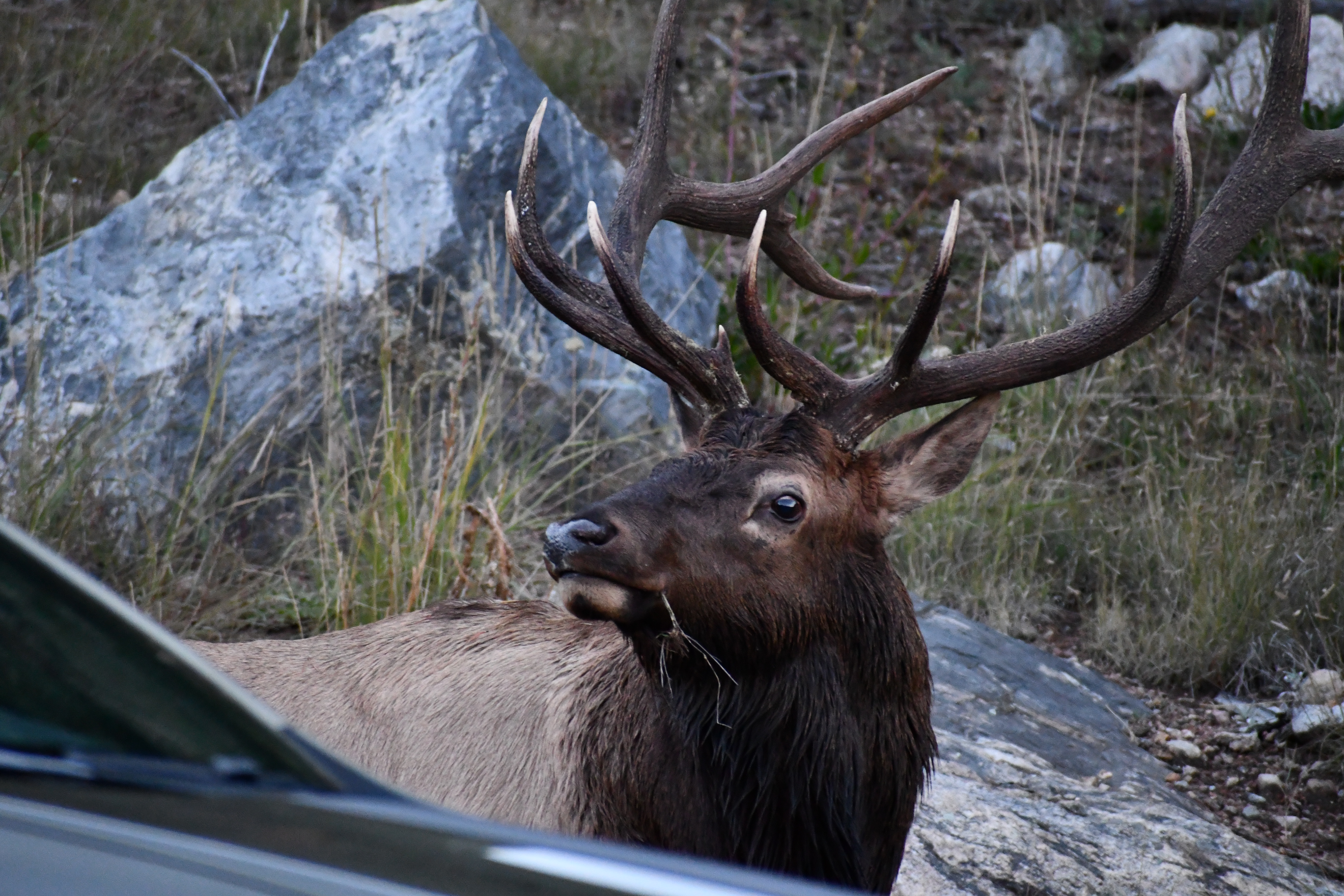 user avatar image for Gimpie