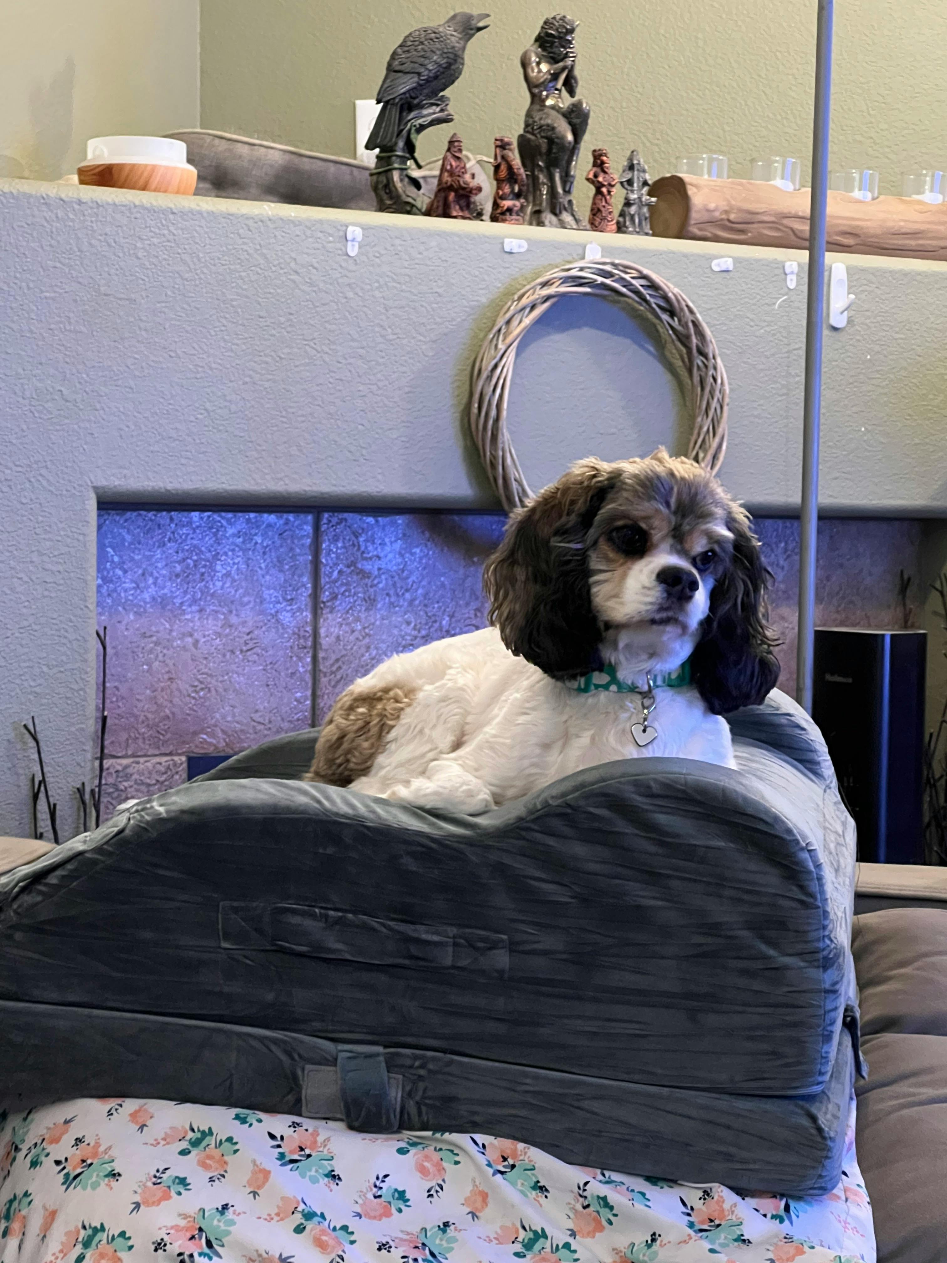 user avatar image for Brohirrim127