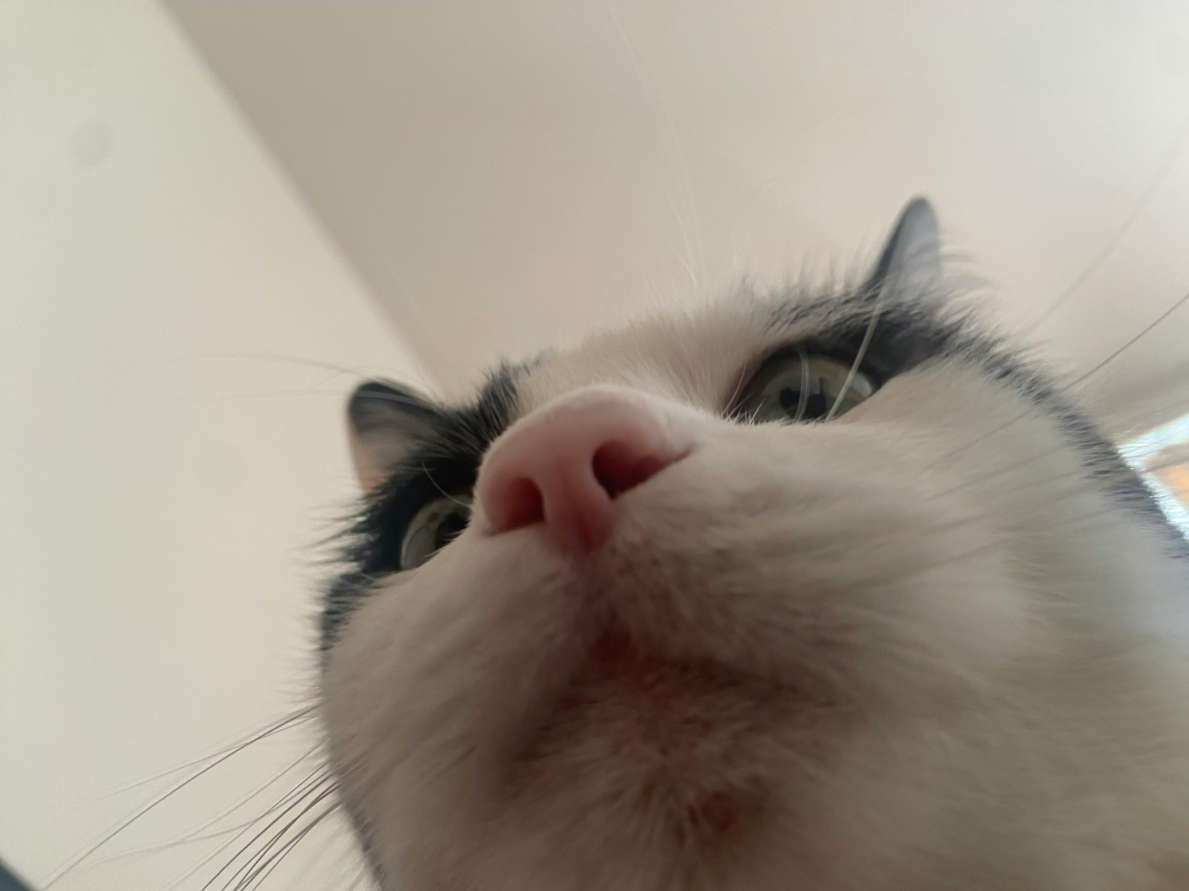 user avatar image for mar.mageddon