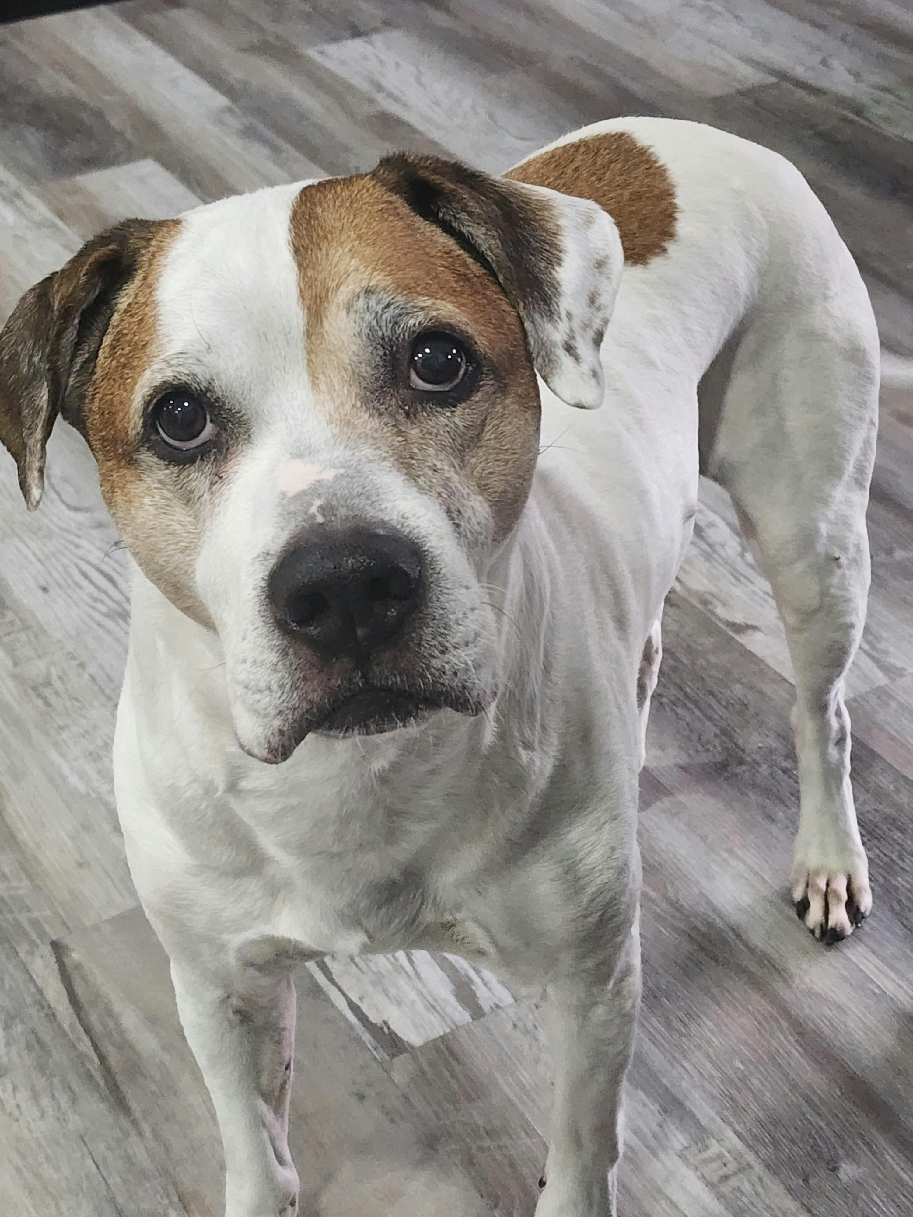 user avatar image for Chase 