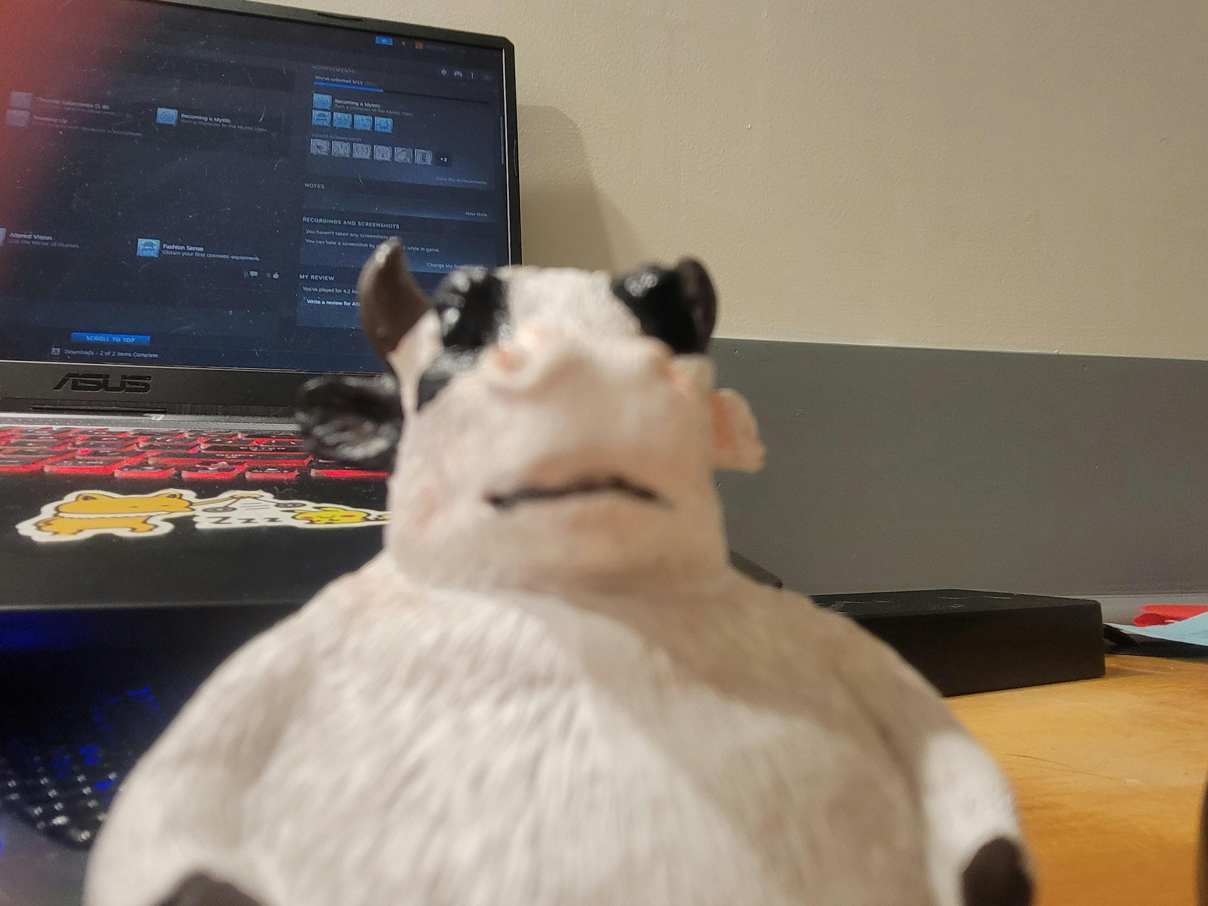 user avatar image for Digits5er