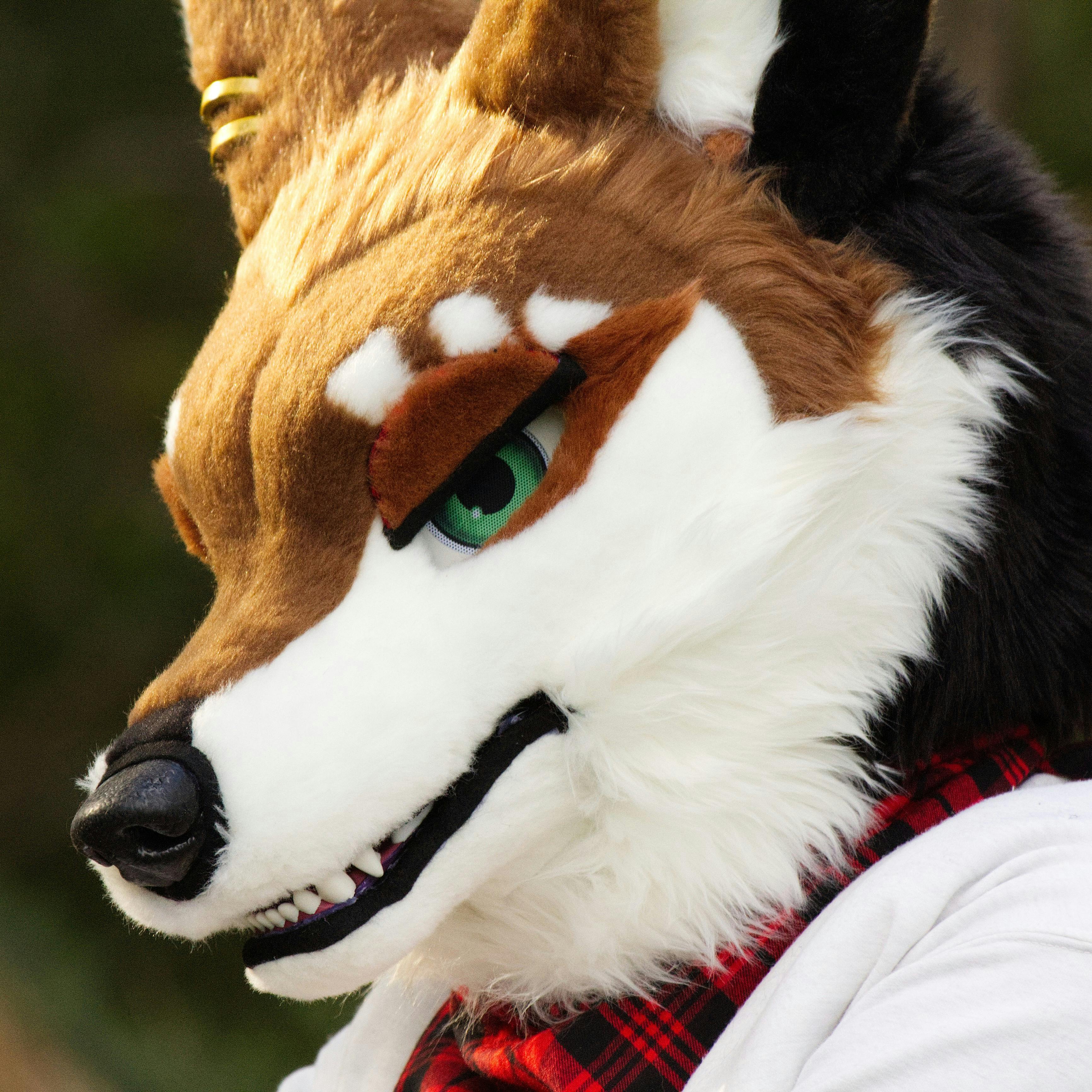 user avatar image for Juno