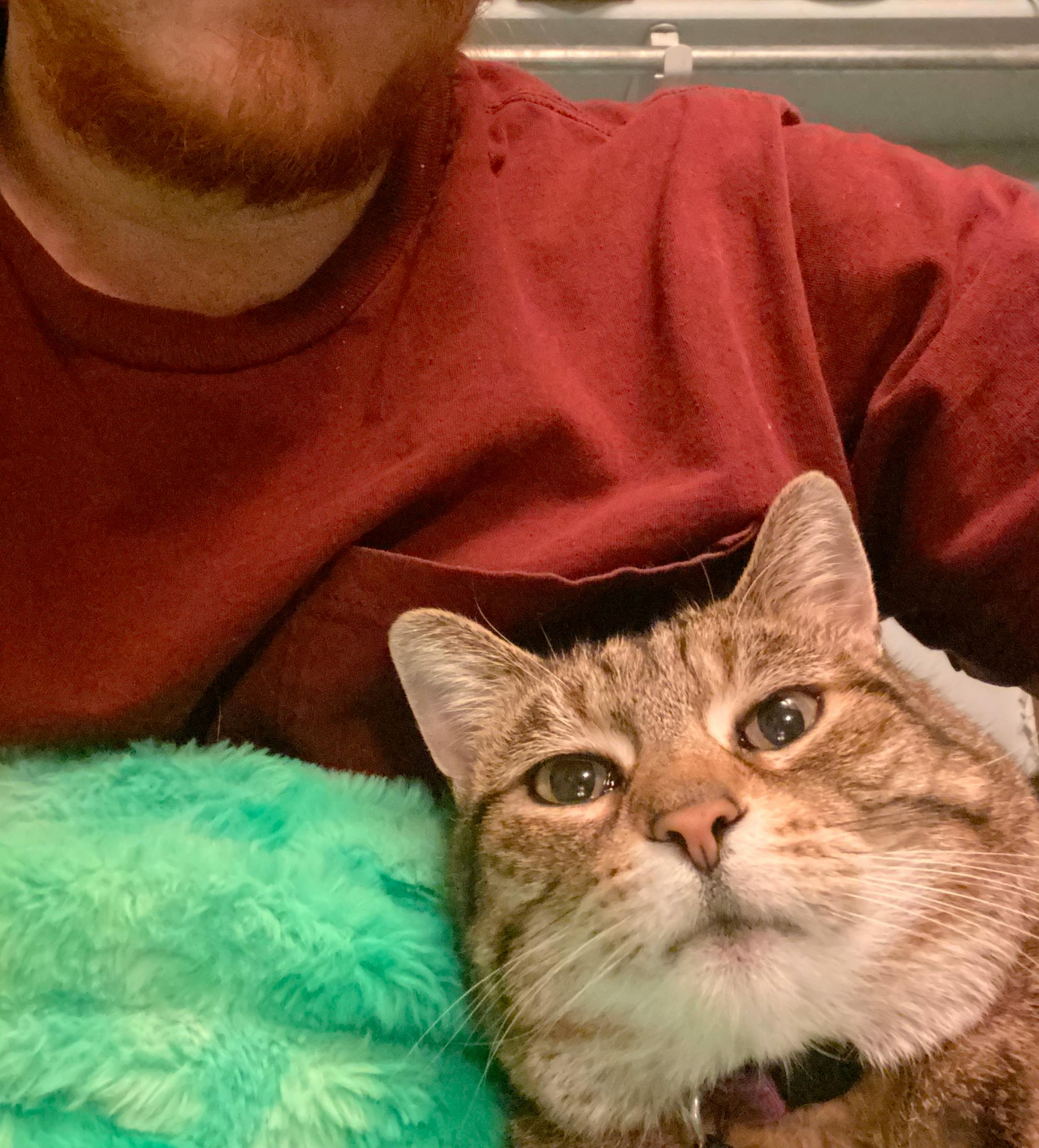 user avatar image for Peter Allred