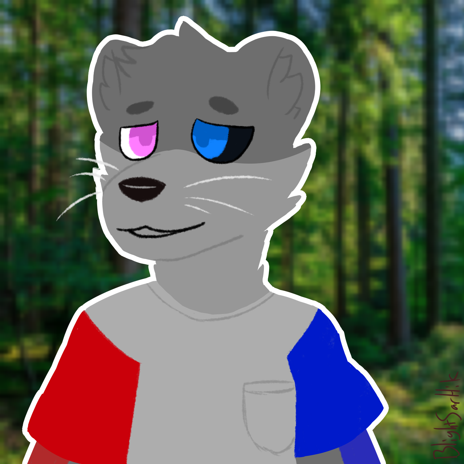 user avatar image for Codi Amerio