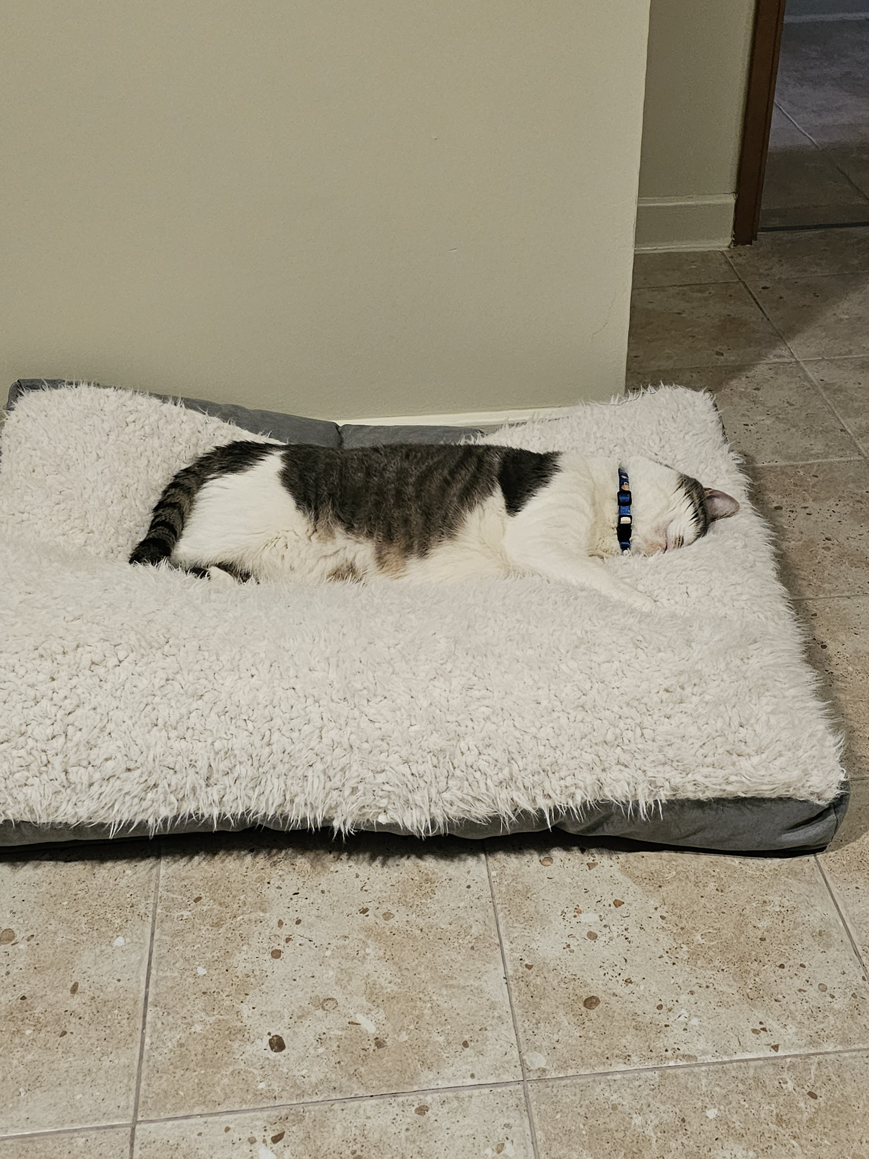 user avatar image for Raganarok