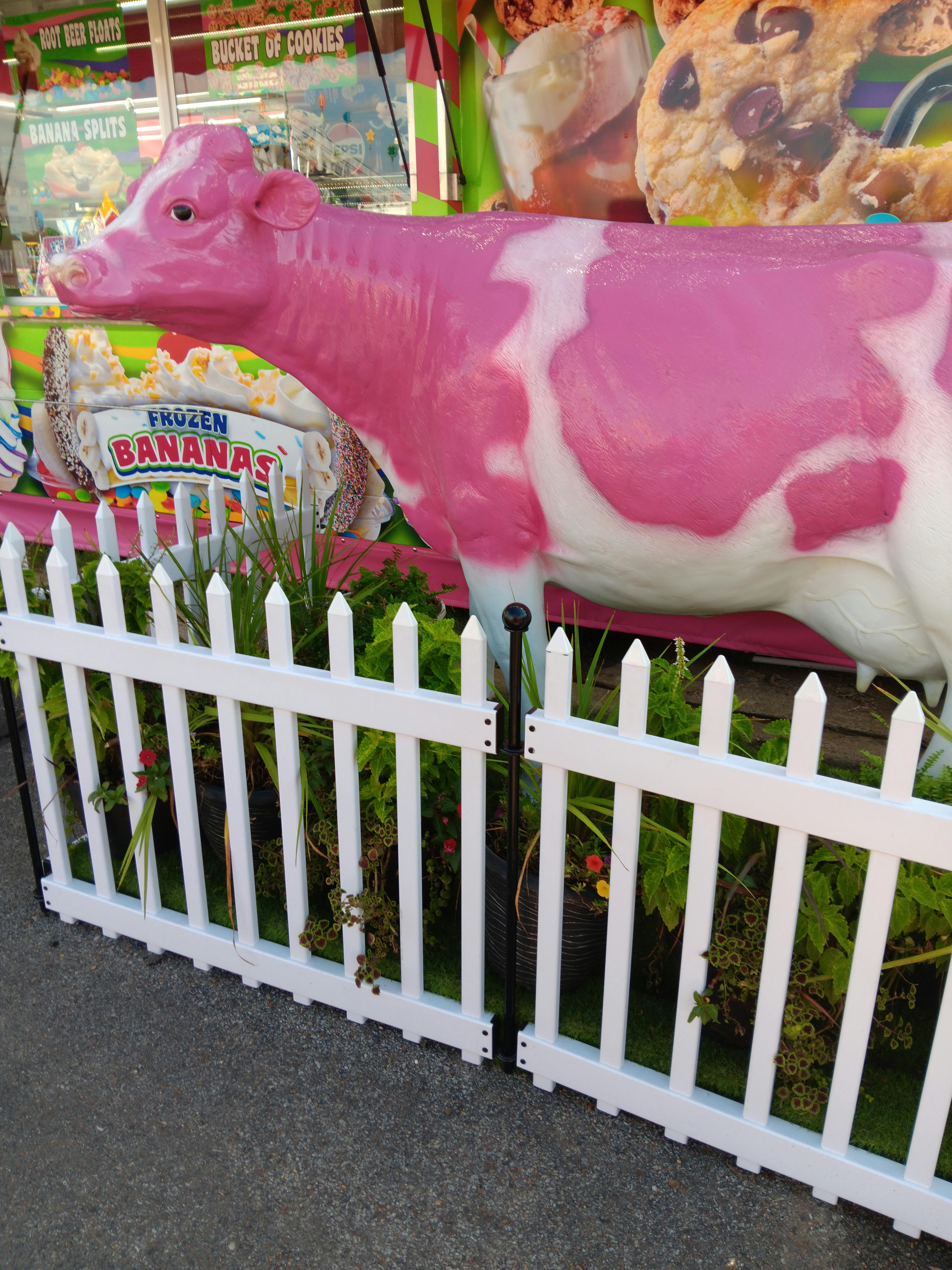 user avatar image for Amanda Miller