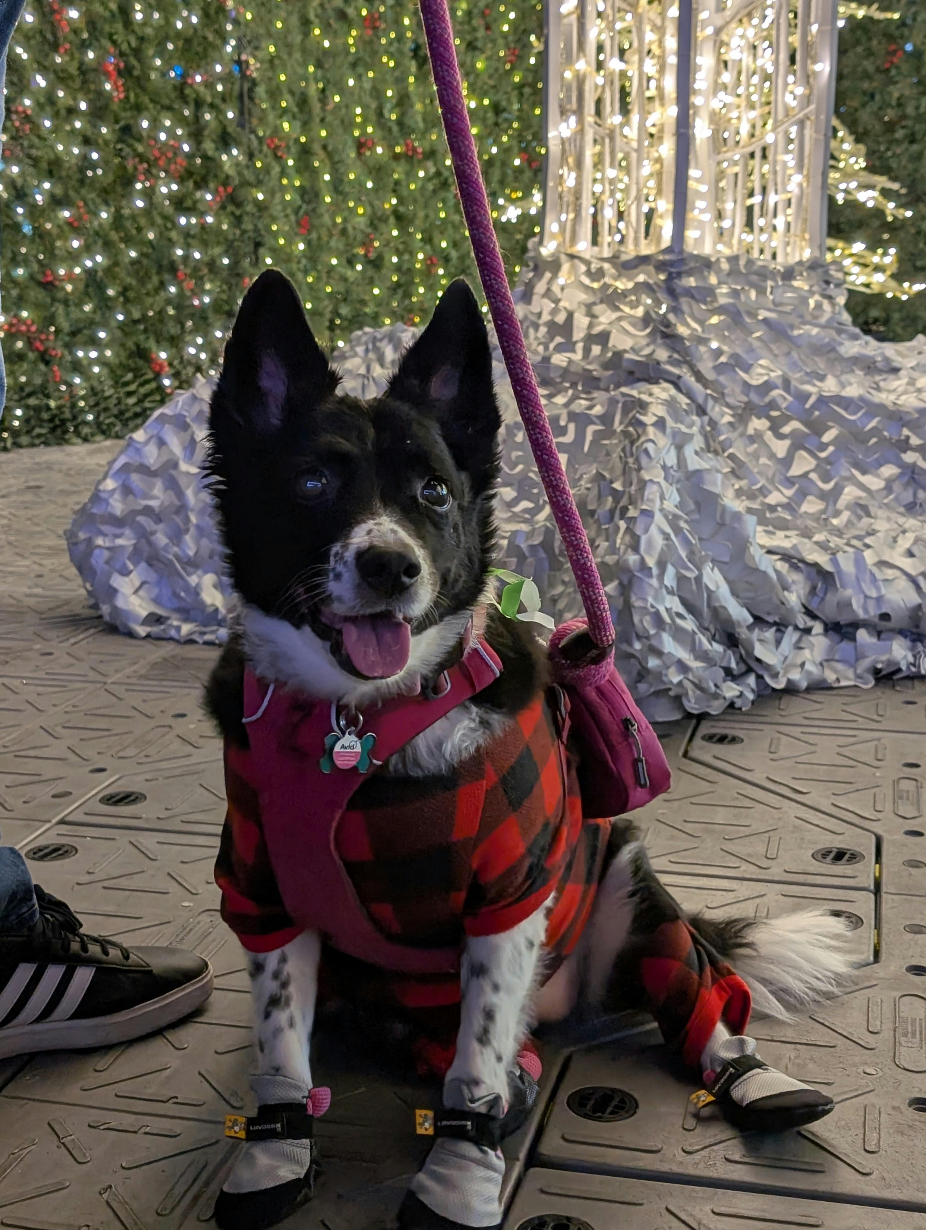 user avatar image for Morgan