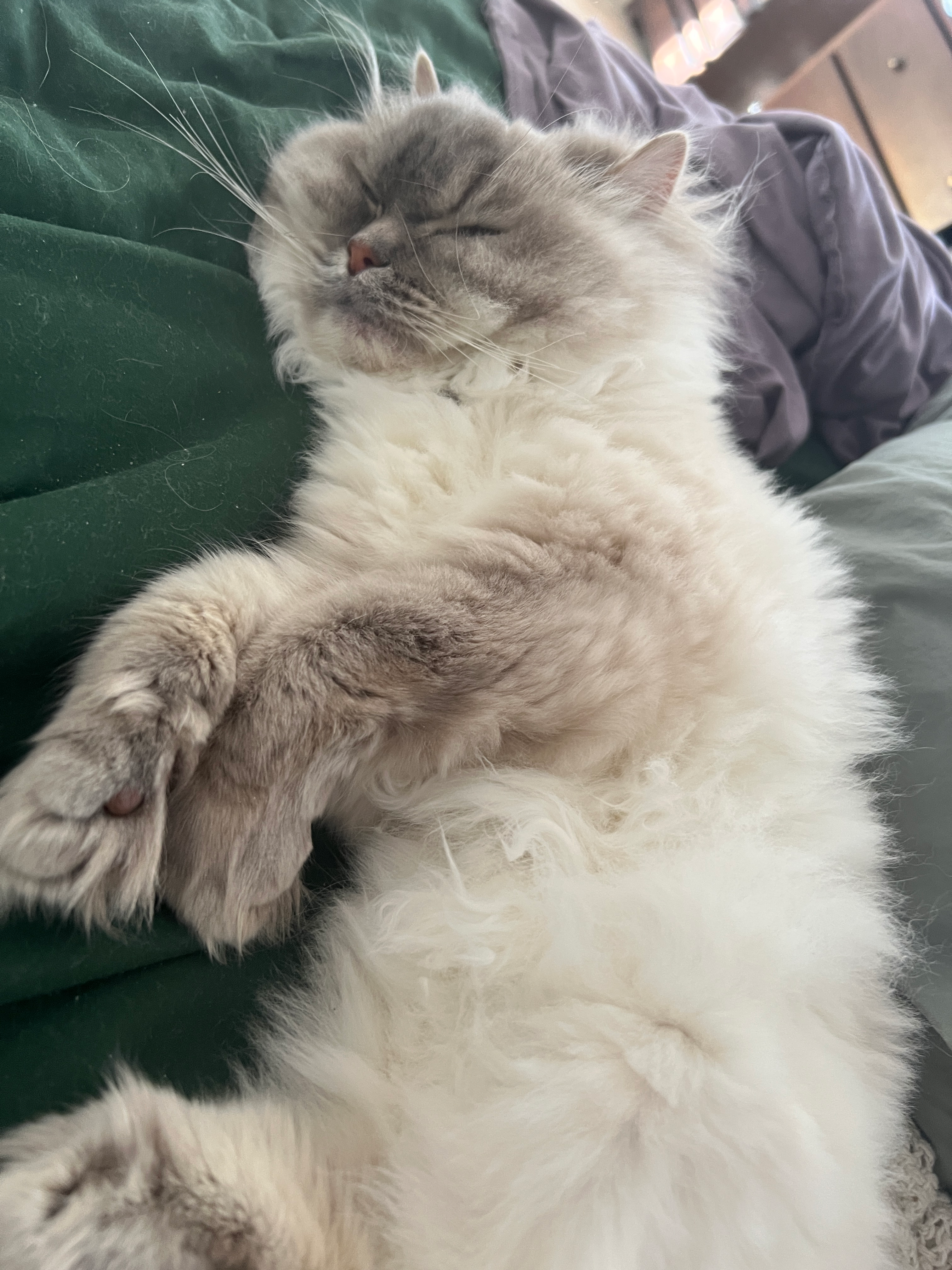 user avatar image for Parker S