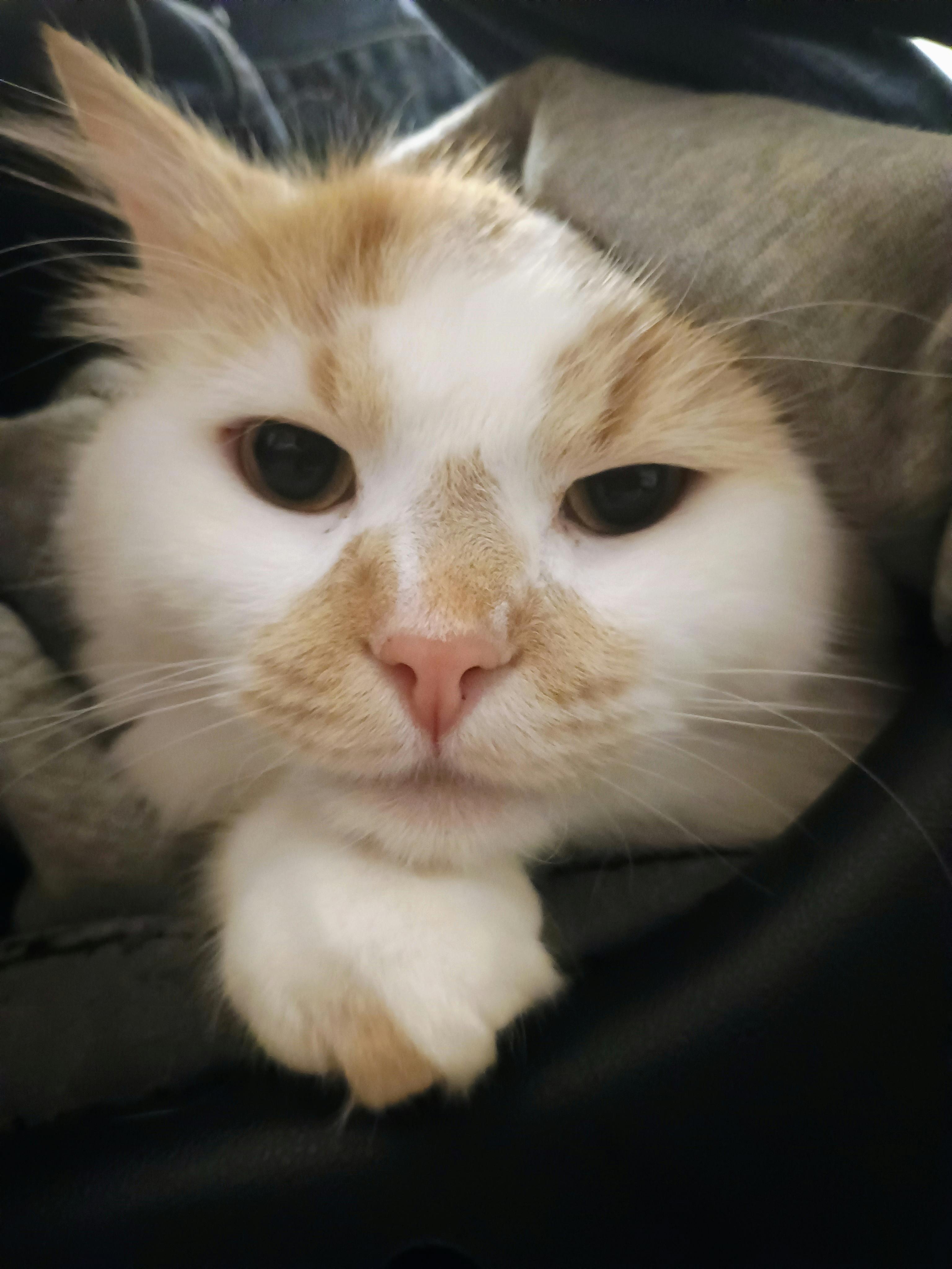 user avatar image for Rowan Graham