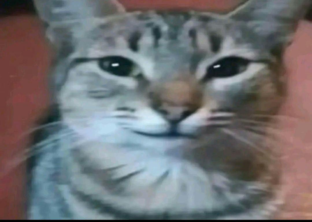user avatar image for Somafoxxo