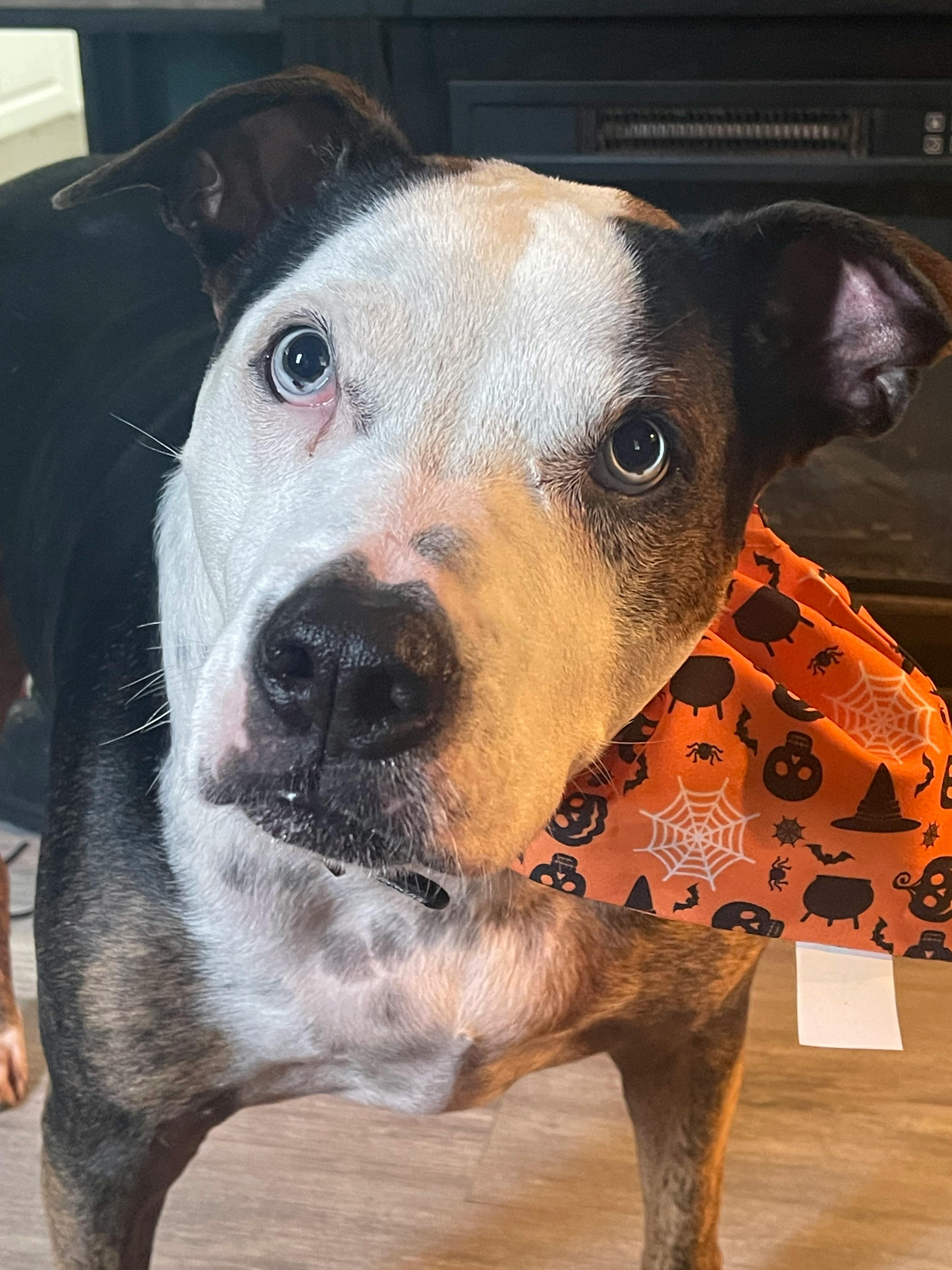 user avatar image for Hunter Thompson