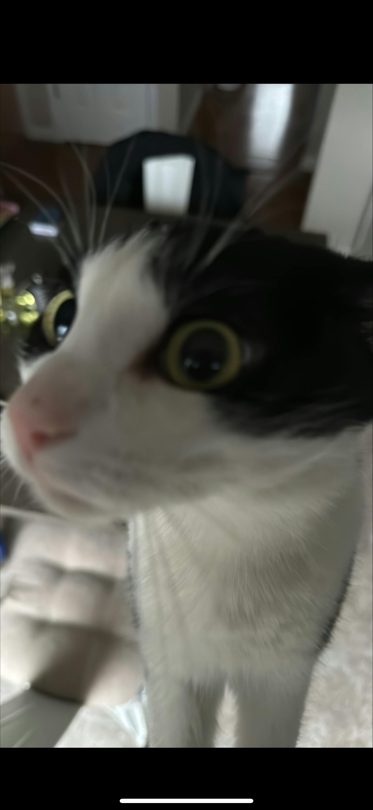 user avatar image for Cody