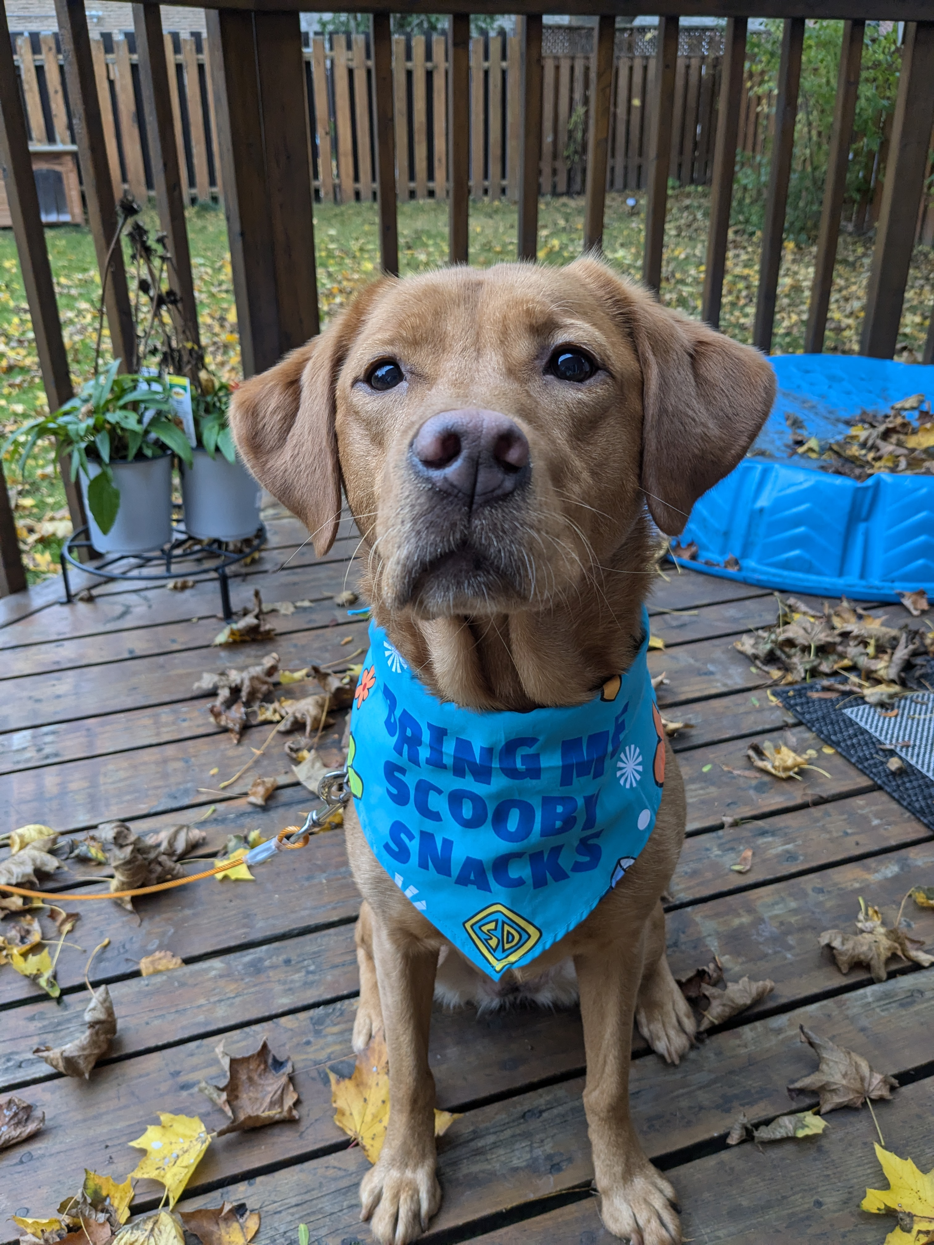 user avatar image for Kaelen