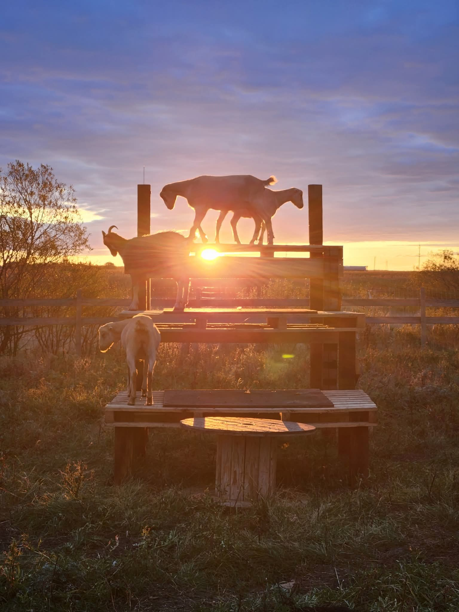 user avatar image for Britt Bauman