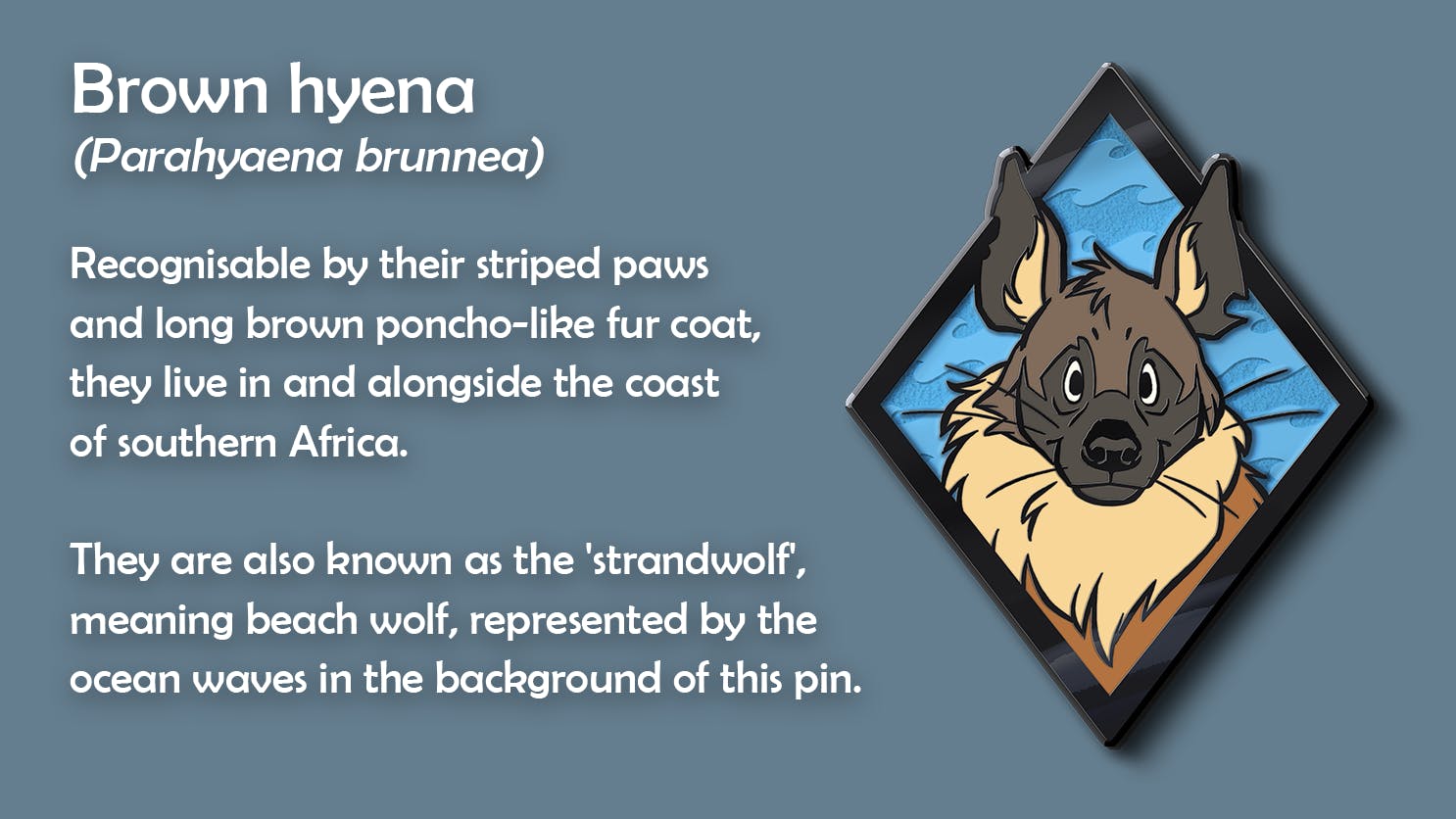 Image showing the brown hyena portrait pin. Caption: Brown hyena (Parahyaena brunnea). Recognisable by their striped paws and long brown poncho-like fur coat, they live in and alongside the coast of southern Africa. They are also known as the 'strandwolf', meaning beach wolf, represented by the ocean waves in the background of this pin.