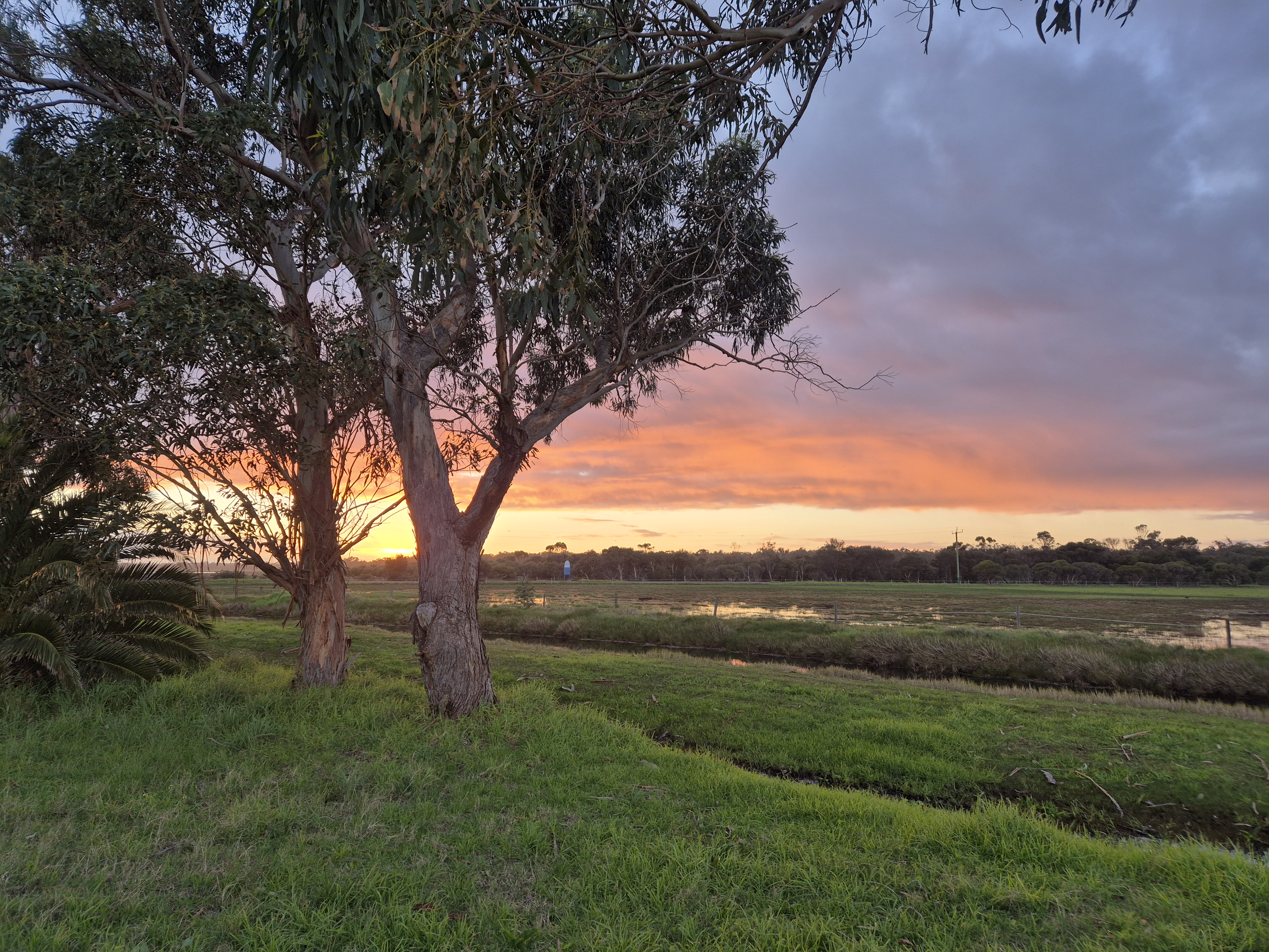 user avatar image for Sarah