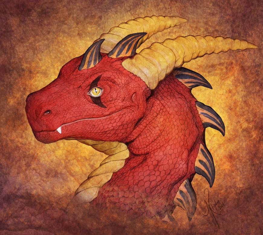 user avatar image for Firedragon20