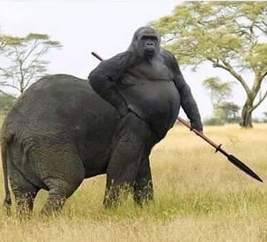 user avatar image for Jesse Goble