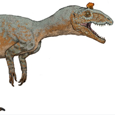 Cryolophosaurus