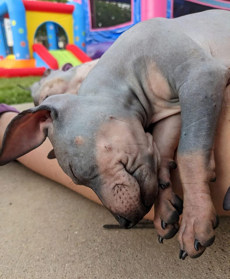 user avatar image for Erin