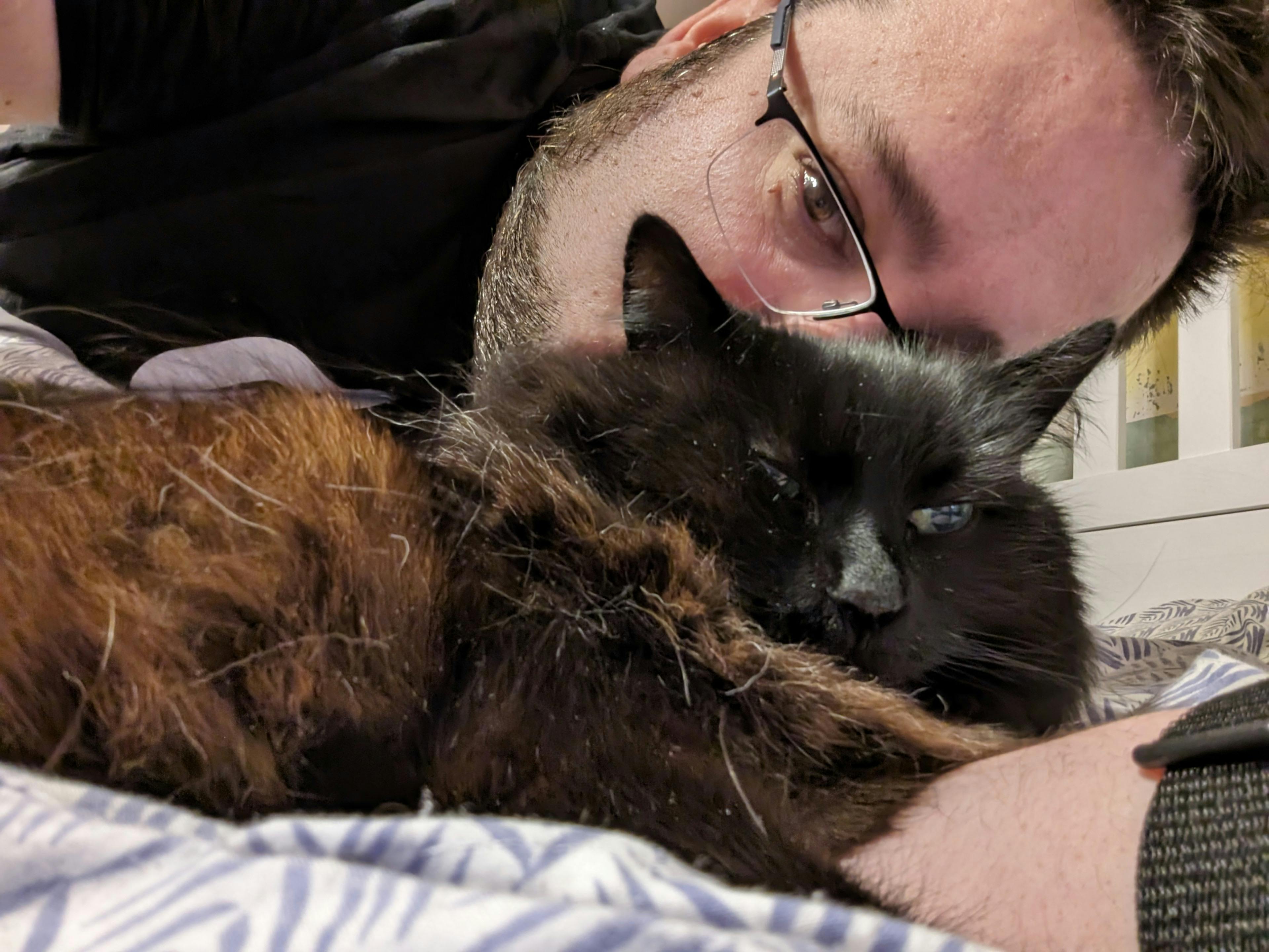 user avatar image for tellute