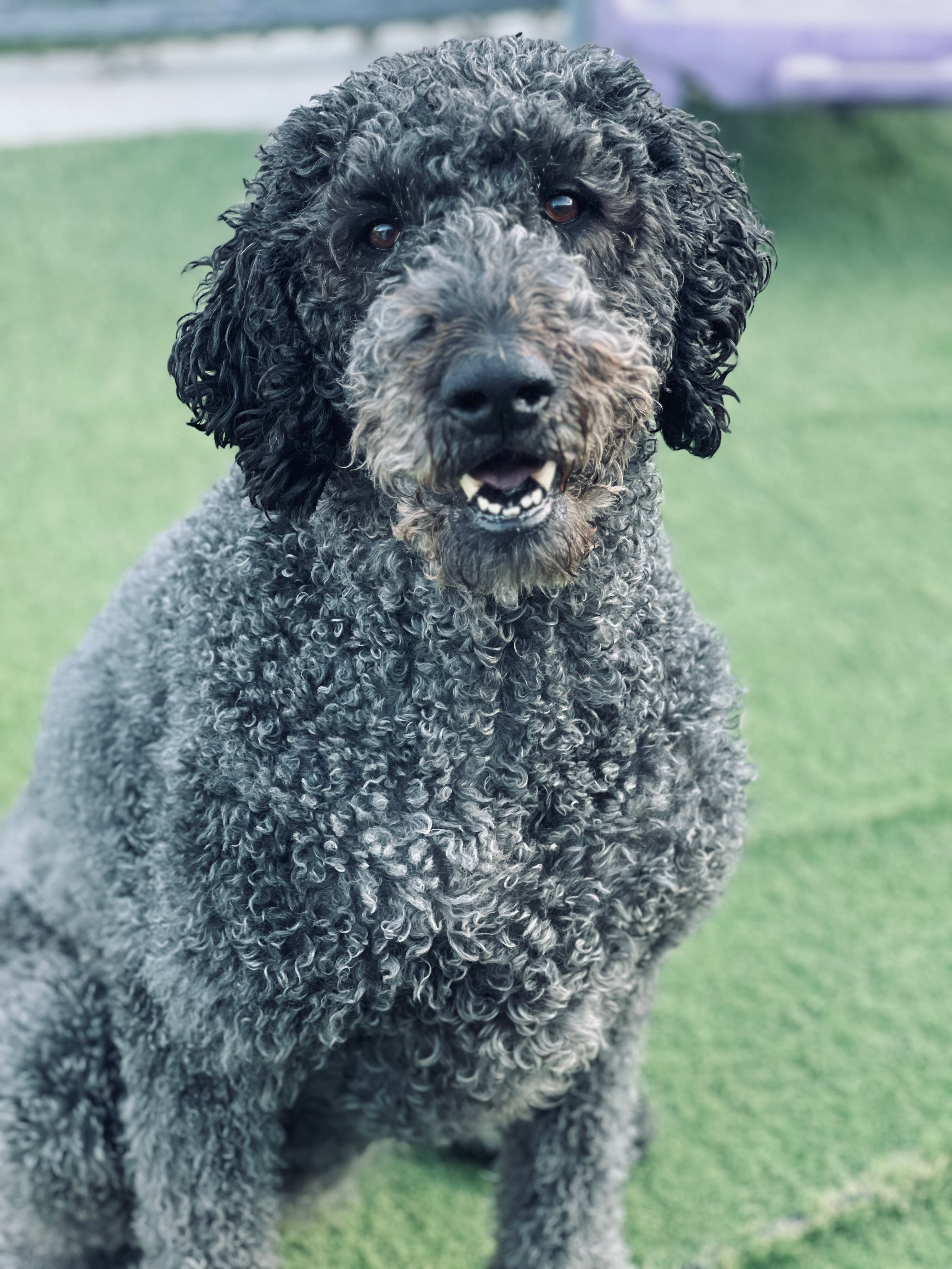 user avatar image for tzpike05