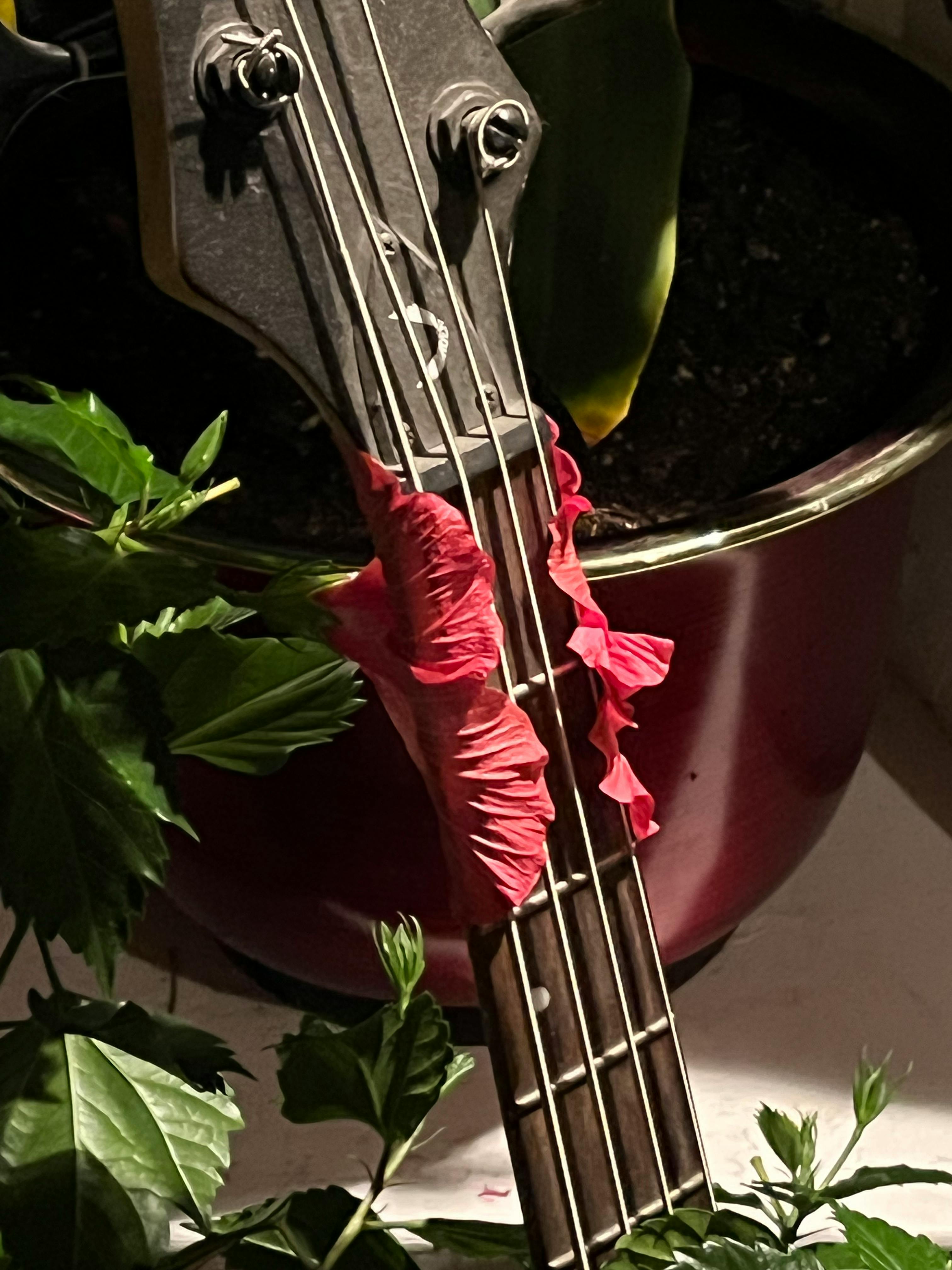 user avatar image for Bobby