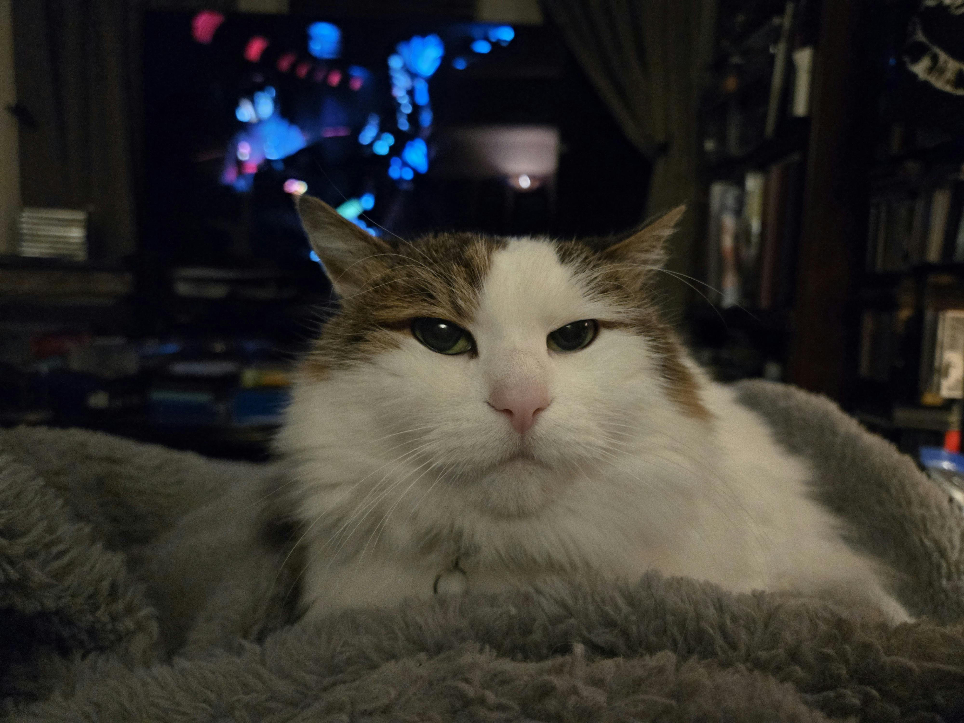 user avatar image for ReptilianSamurai