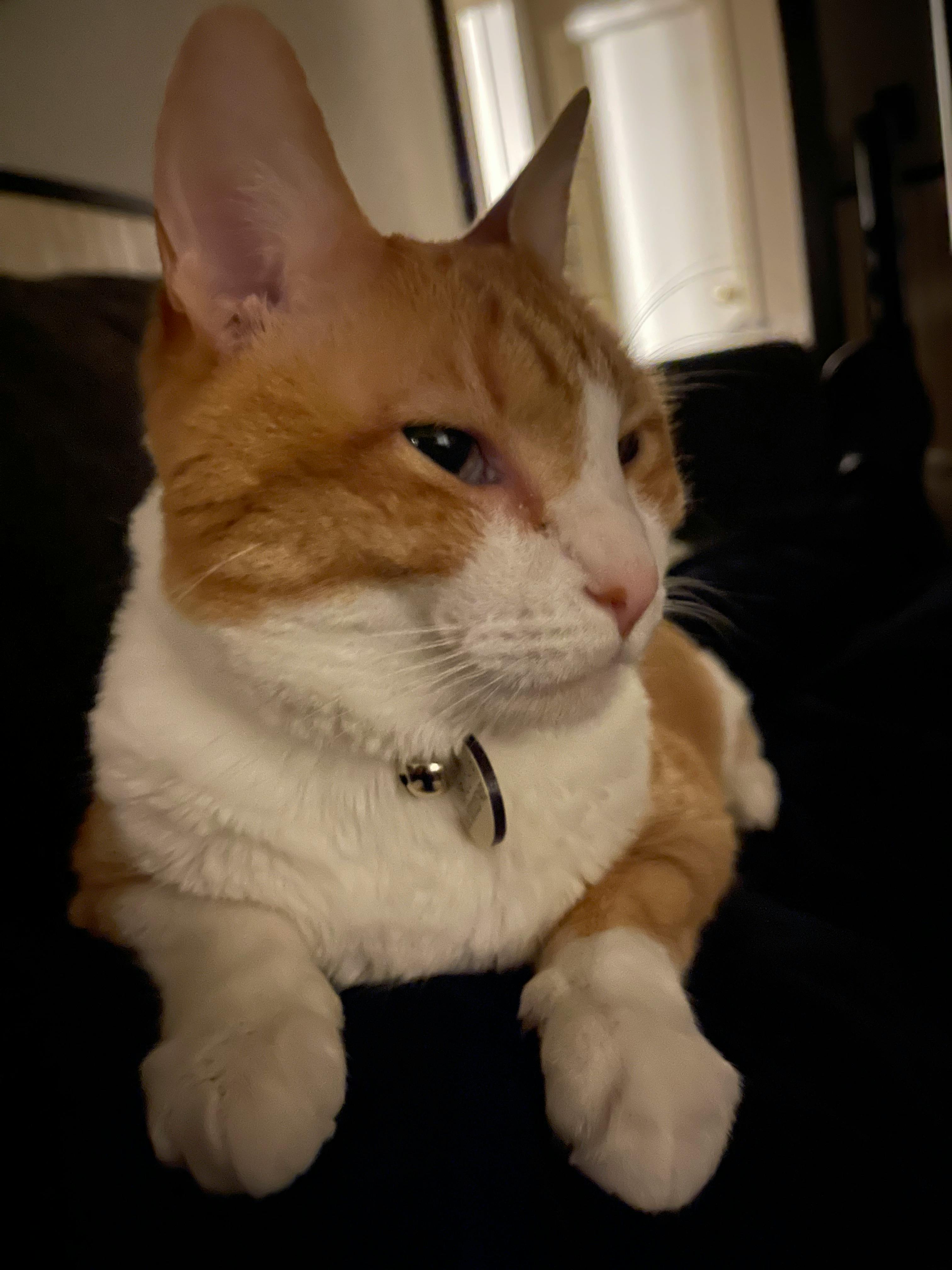 user avatar image for Wet Whoops