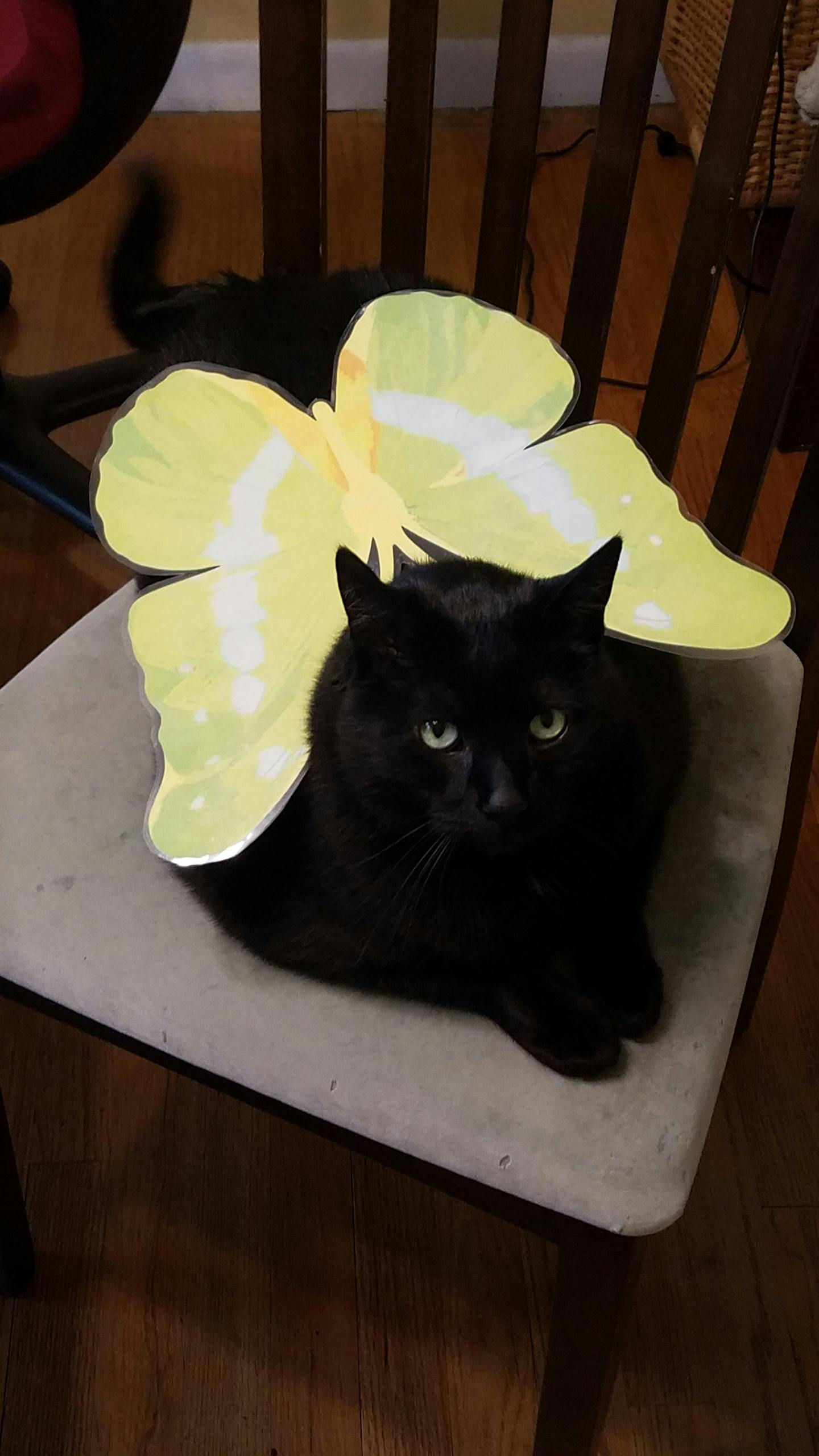 user avatar image for JennD13