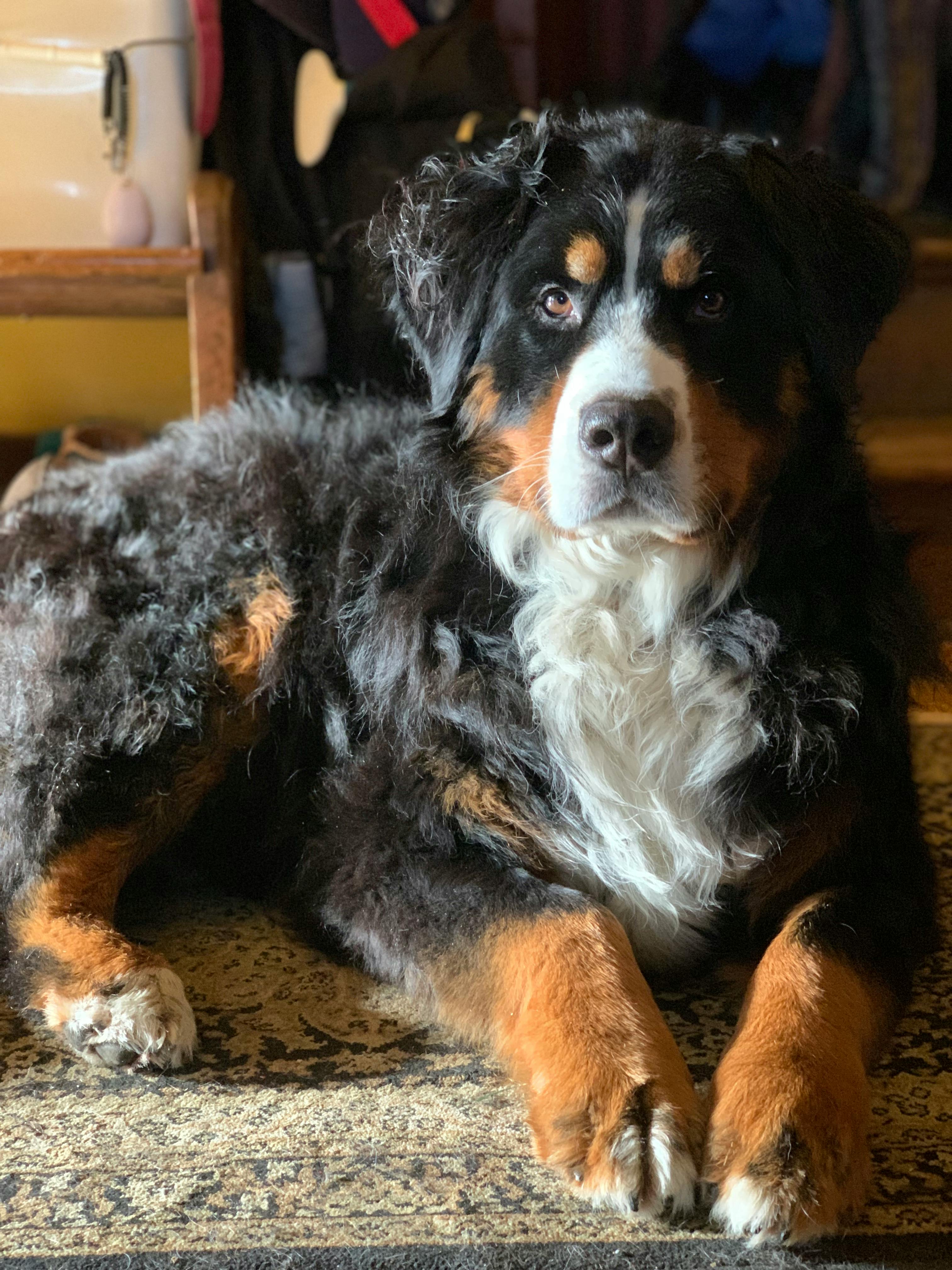 user avatar image for Andrea Buchanan