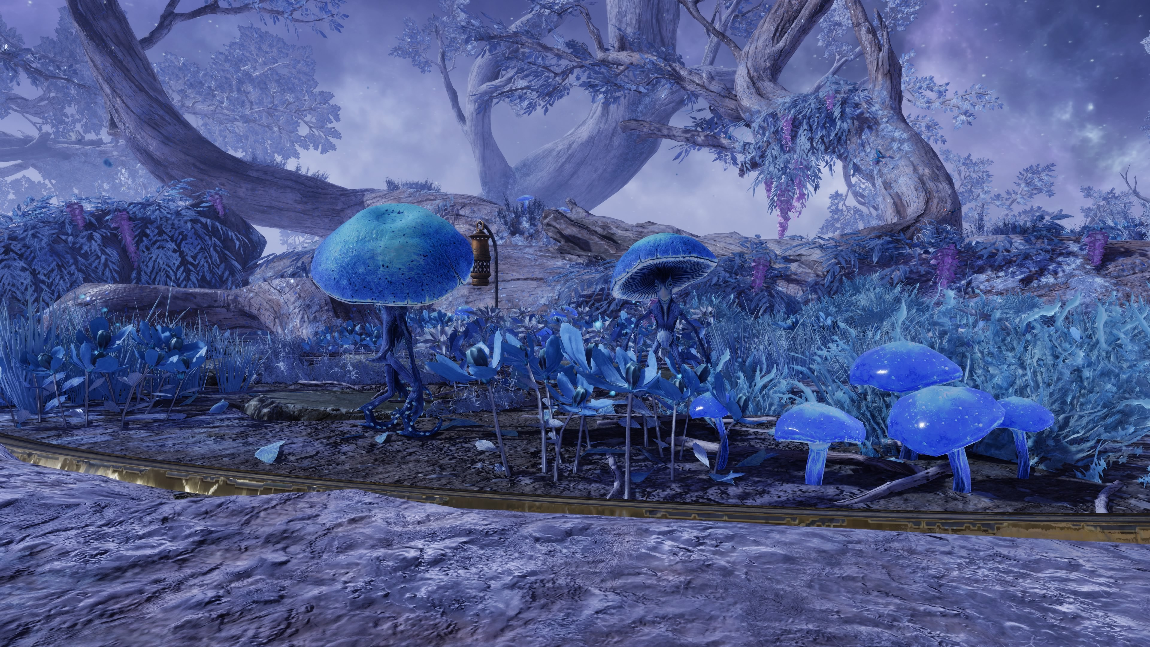 user avatar image for Hannah Lester