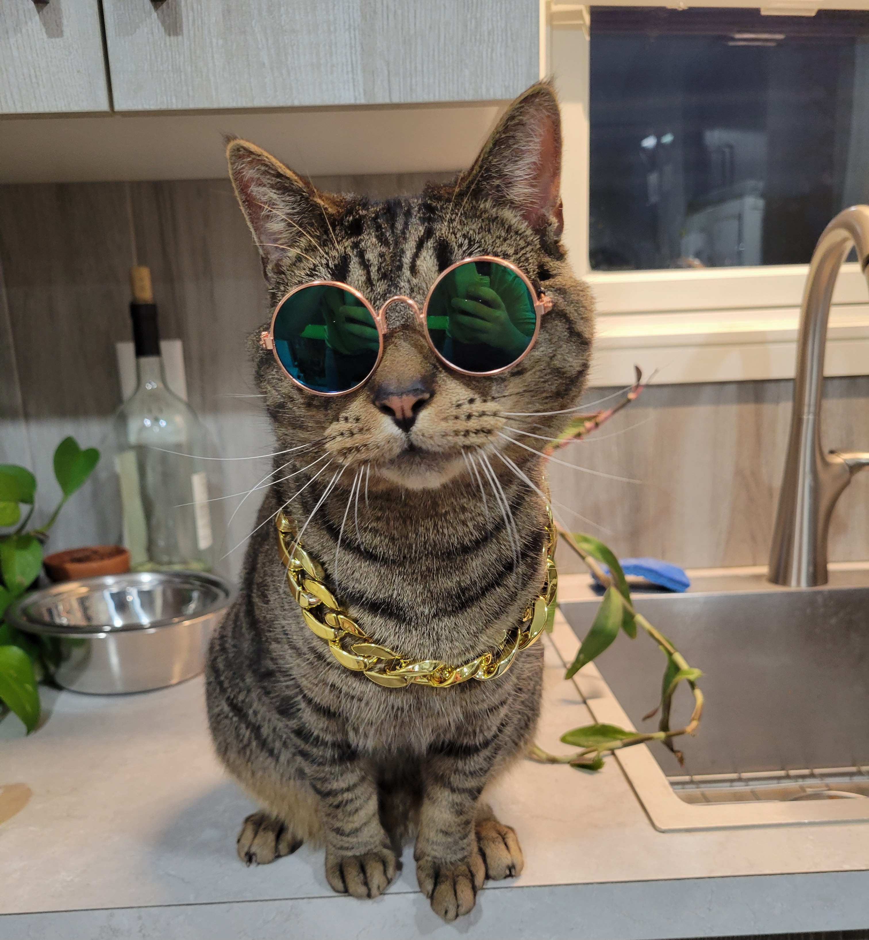 user avatar image for Justin