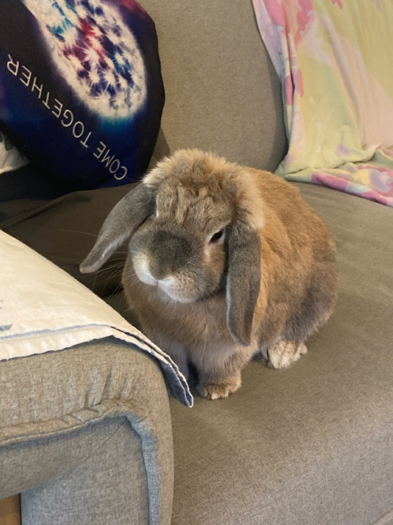 user avatar image for Sarah