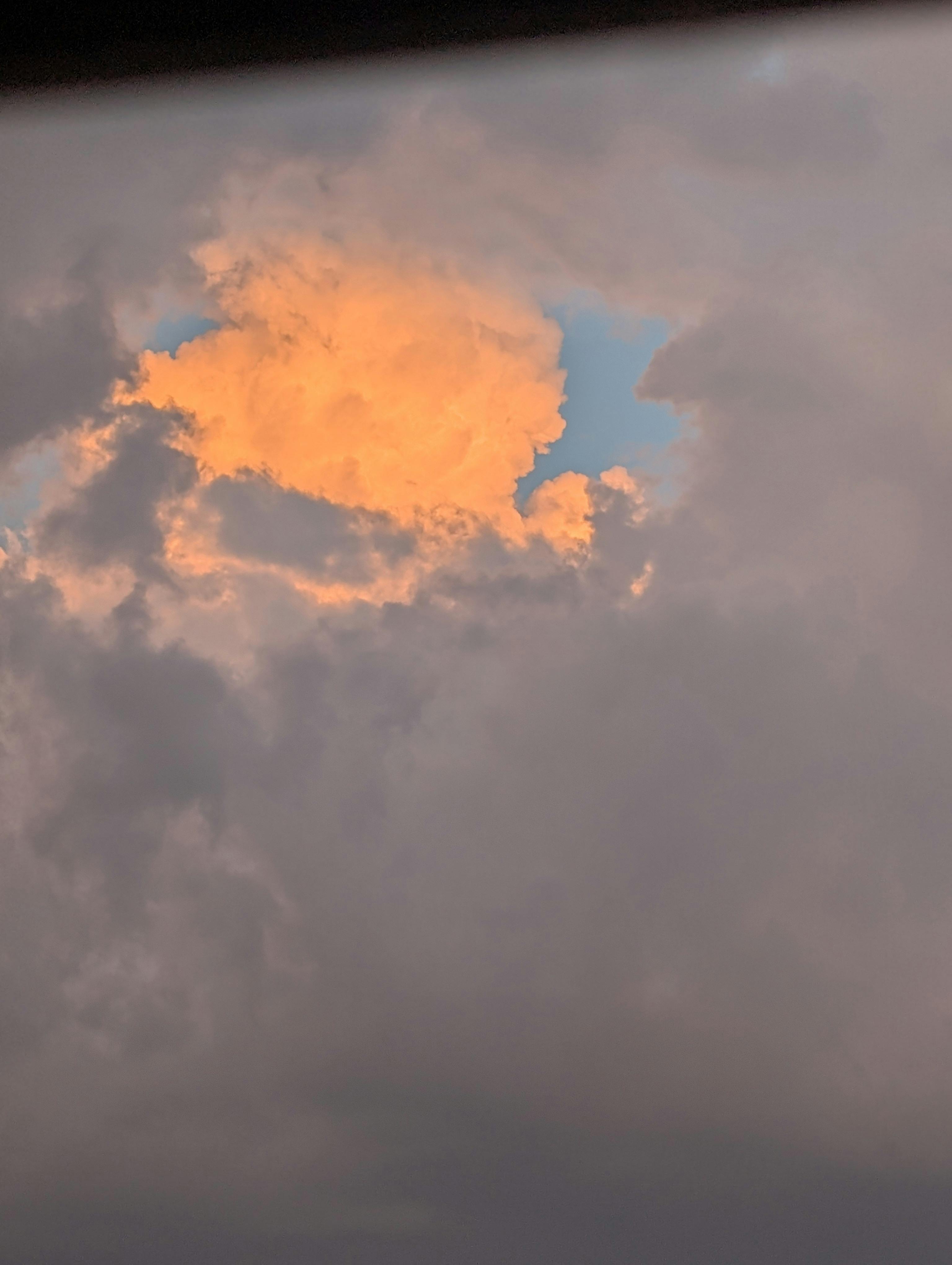 user avatar image for Maple Log