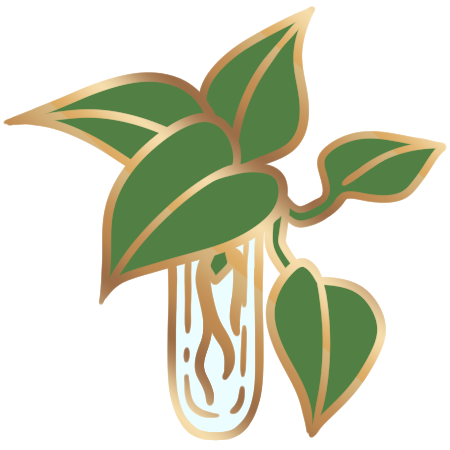 Jade Pothos