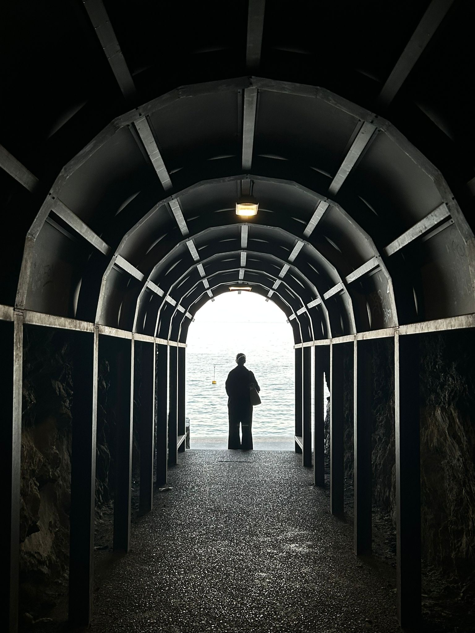 user avatar image for Purple