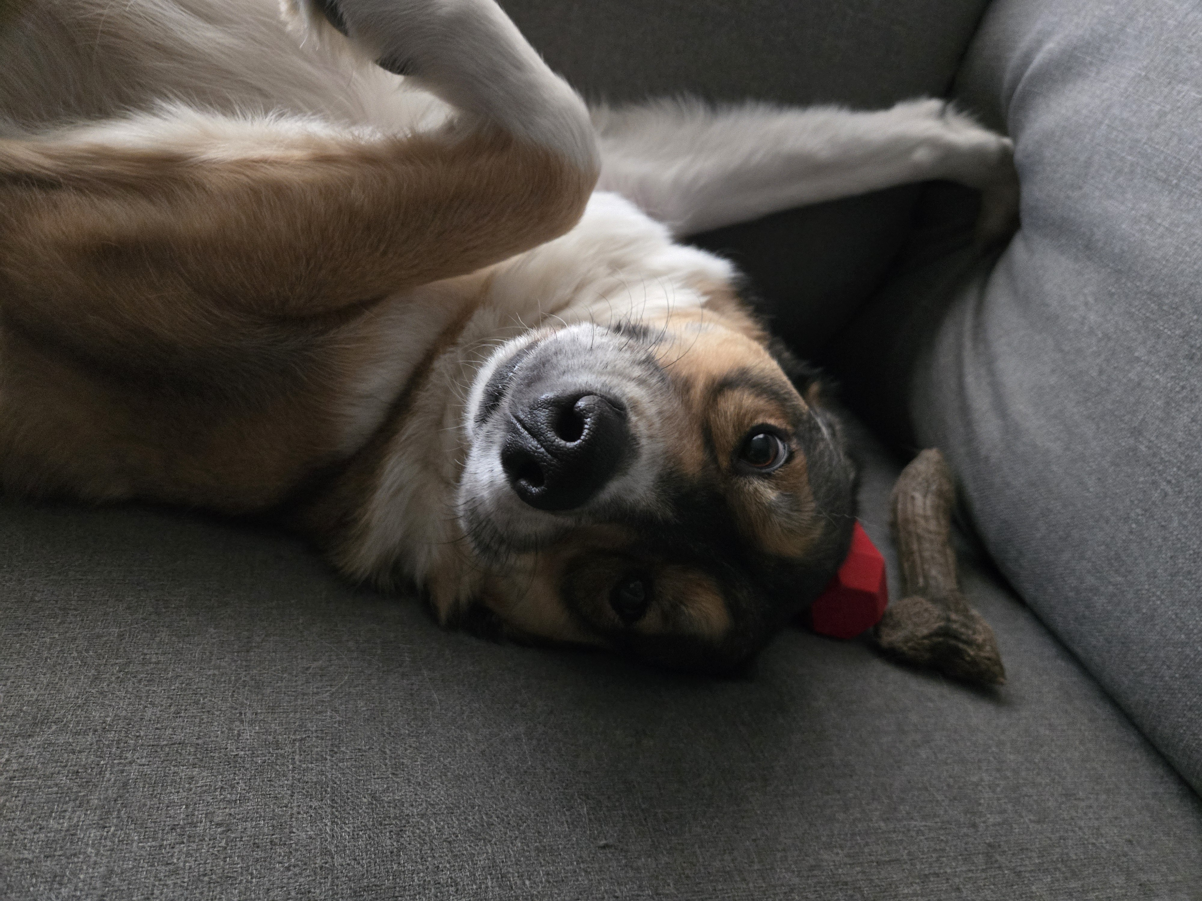 user avatar image for Tom