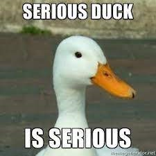 user avatar image for Fibs