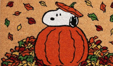 user avatar image for Rachel Hartmann