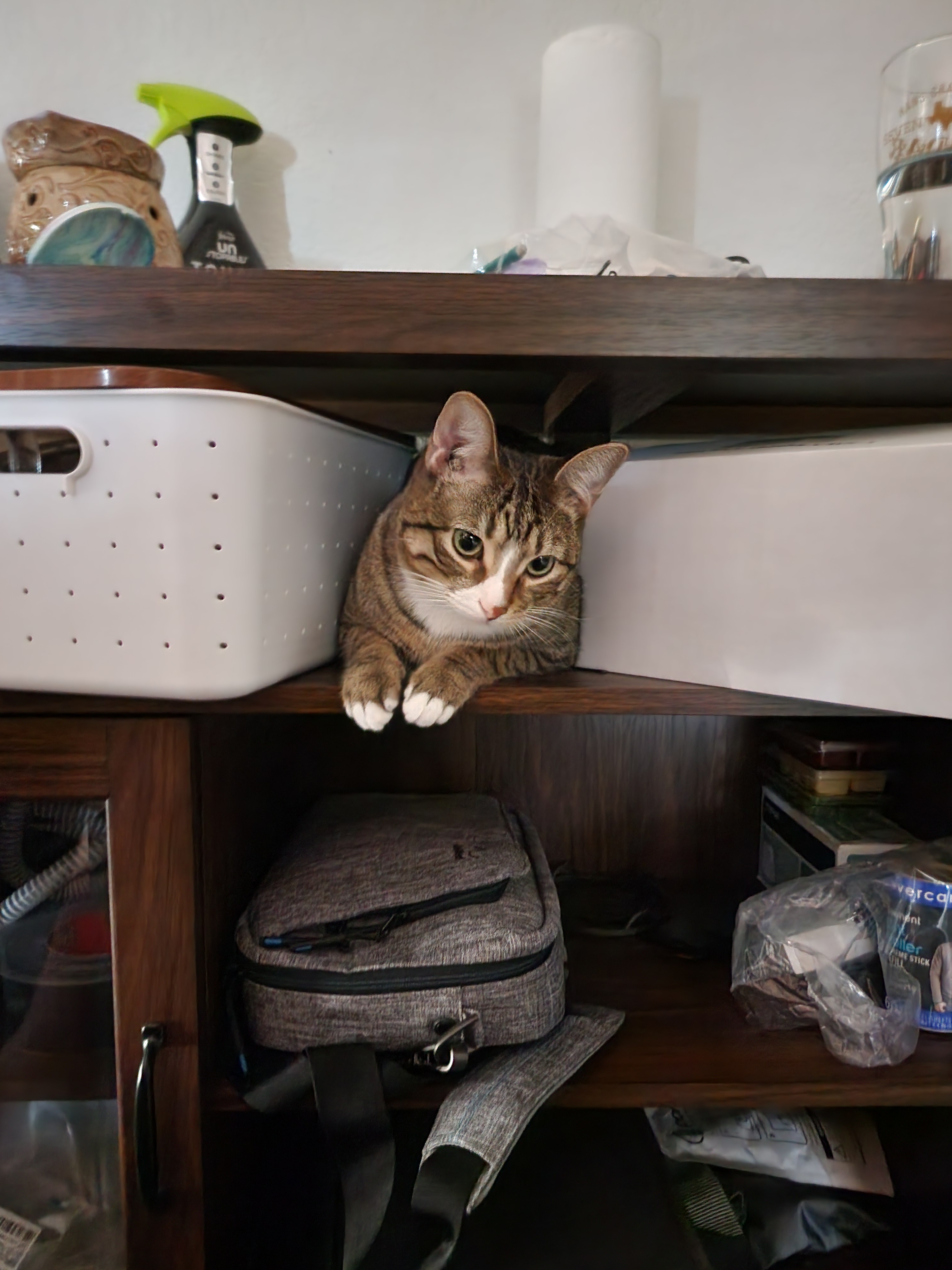 user avatar image for TheGreatCatsby