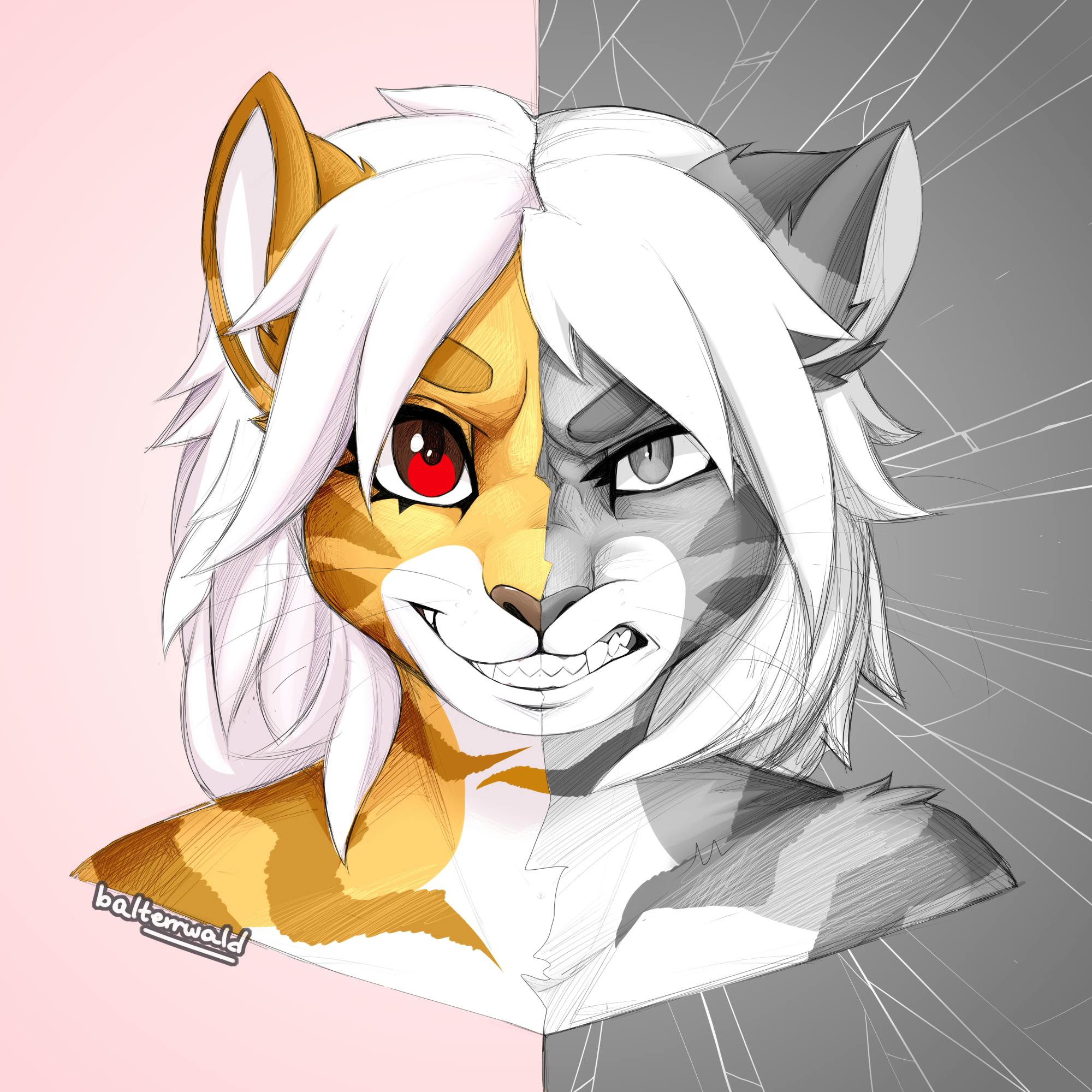 user avatar image for Purr