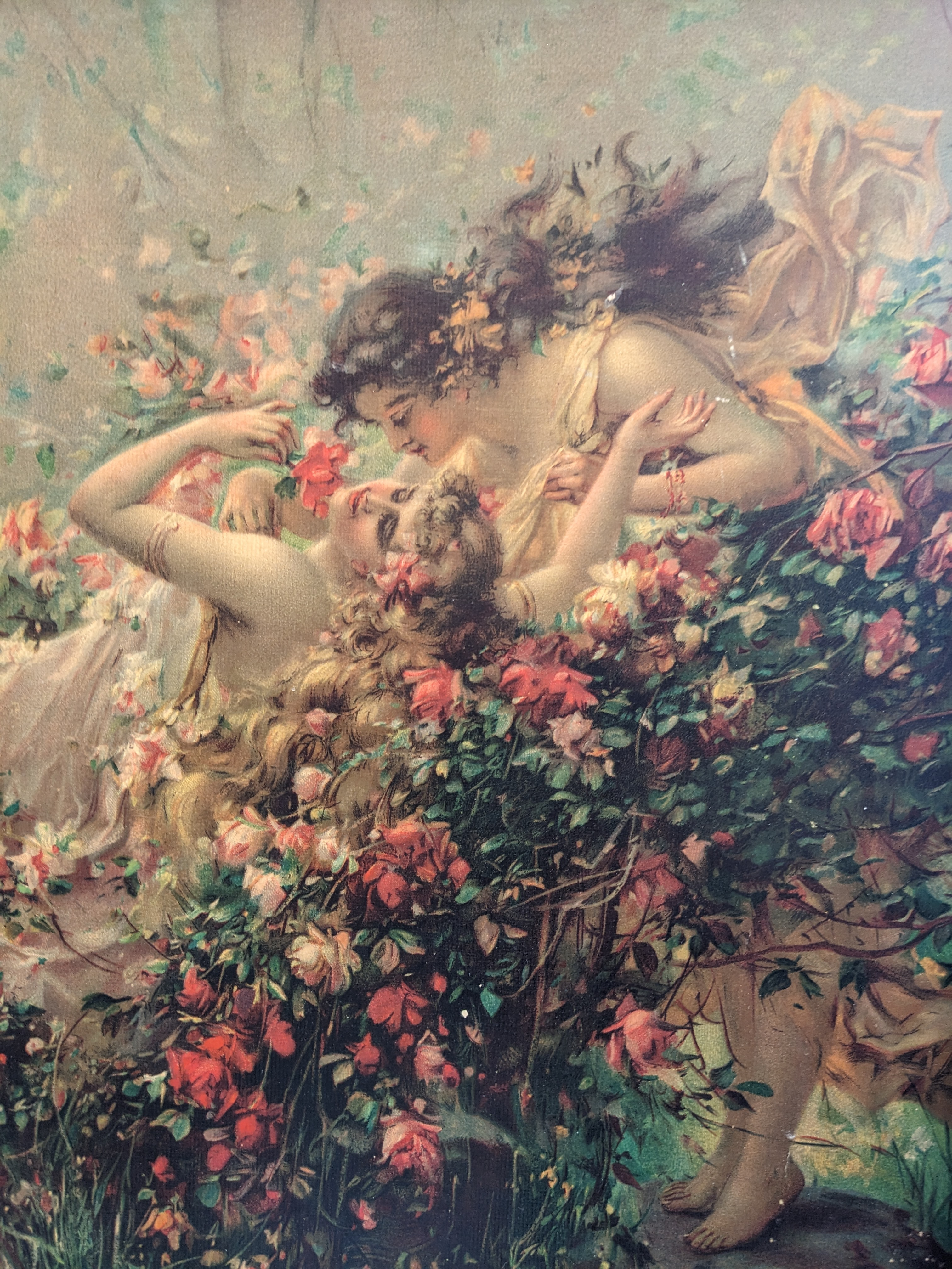 user avatar image for Monibelle 