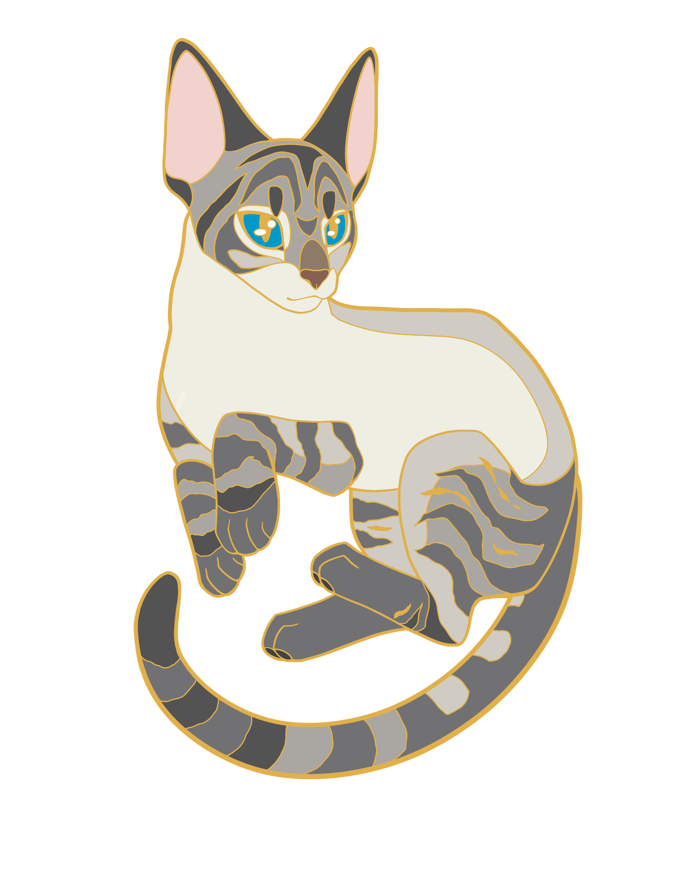 Natural Coat Cat Bundle