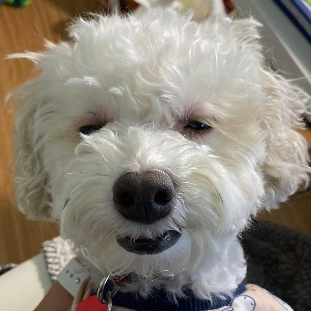 user avatar image for Charlie