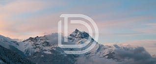 AI Workshop